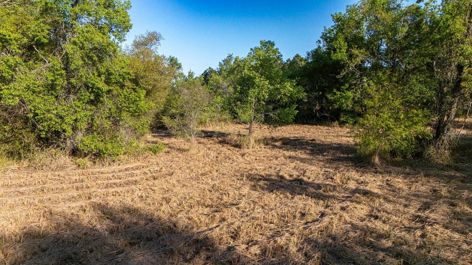 FRIENDSHIP RD, CLERMONT, FL, 34711
