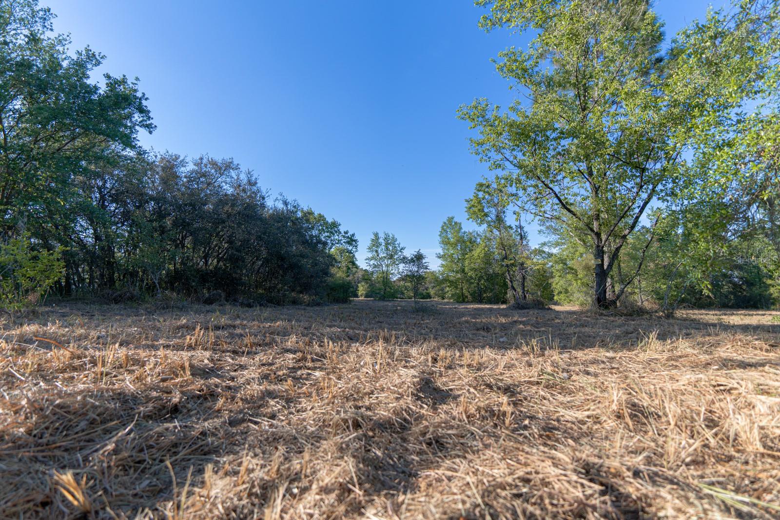 FRIENDSHIP RD, CLERMONT, FL, 34711