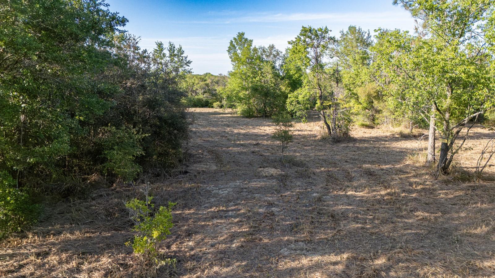 FRIENDSHIP RD, CLERMONT, FL, 34711