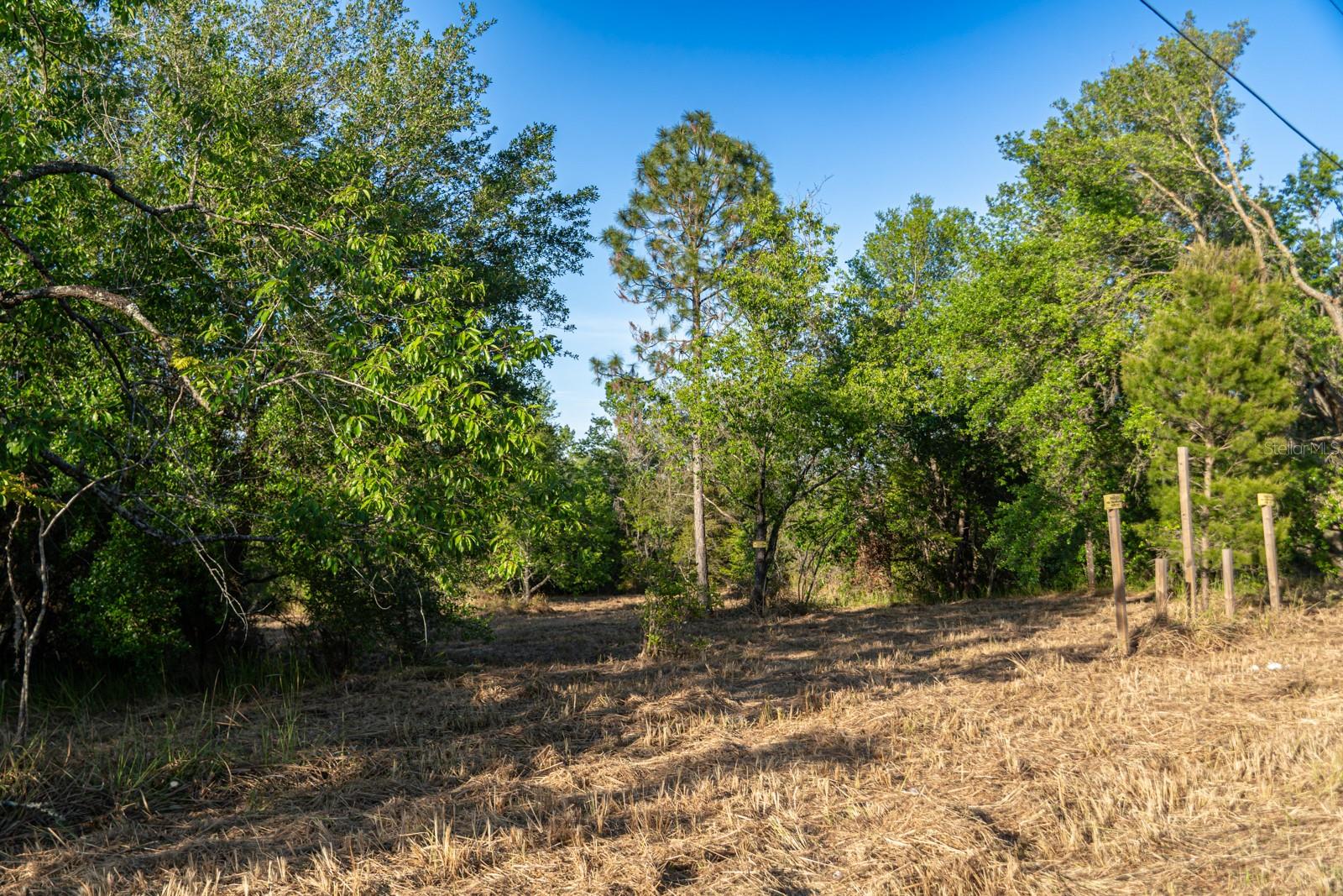 FRIENDSHIP RD, CLERMONT, FL, 34711