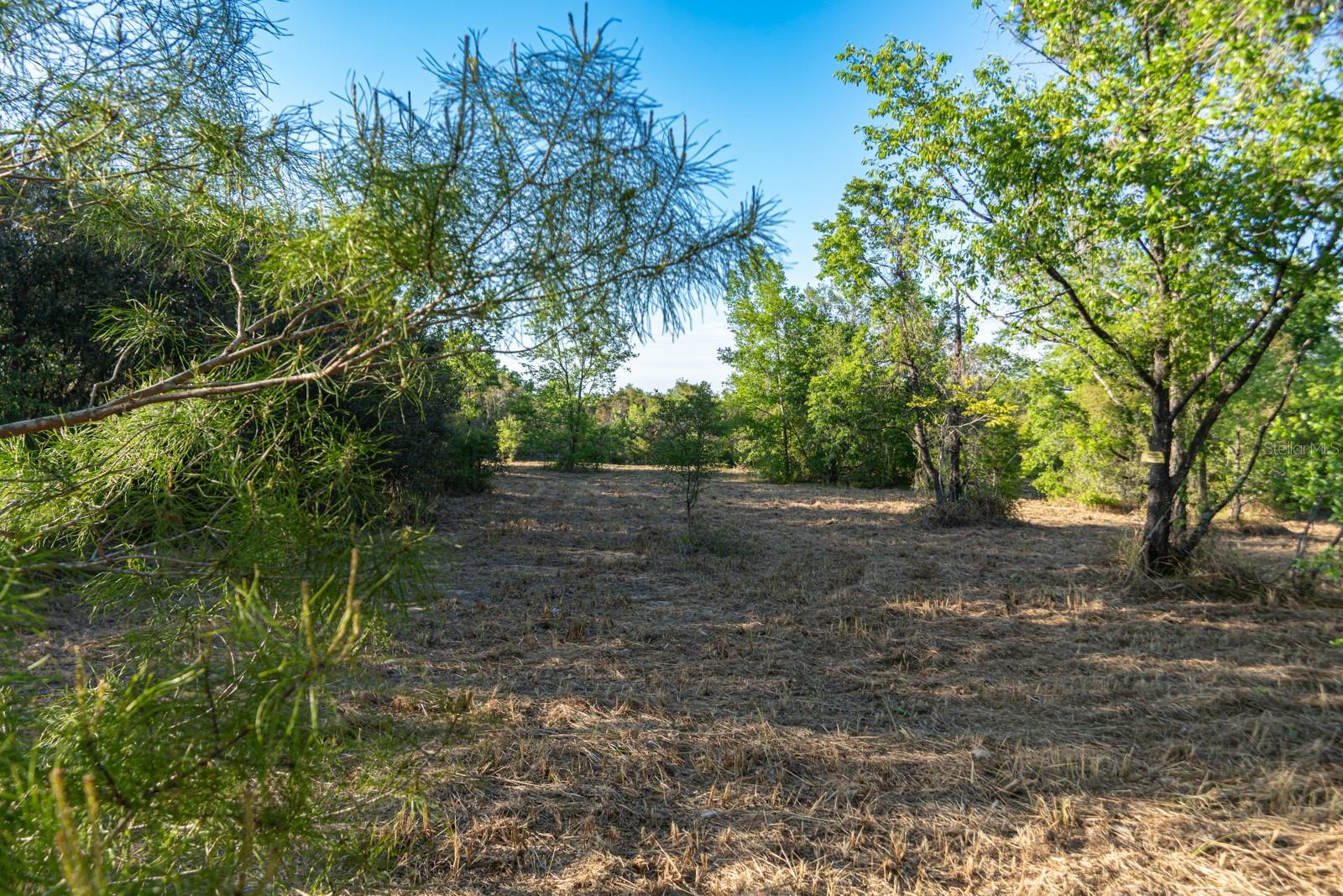 FRIENDSHIP RD, CLERMONT, FL, 34711