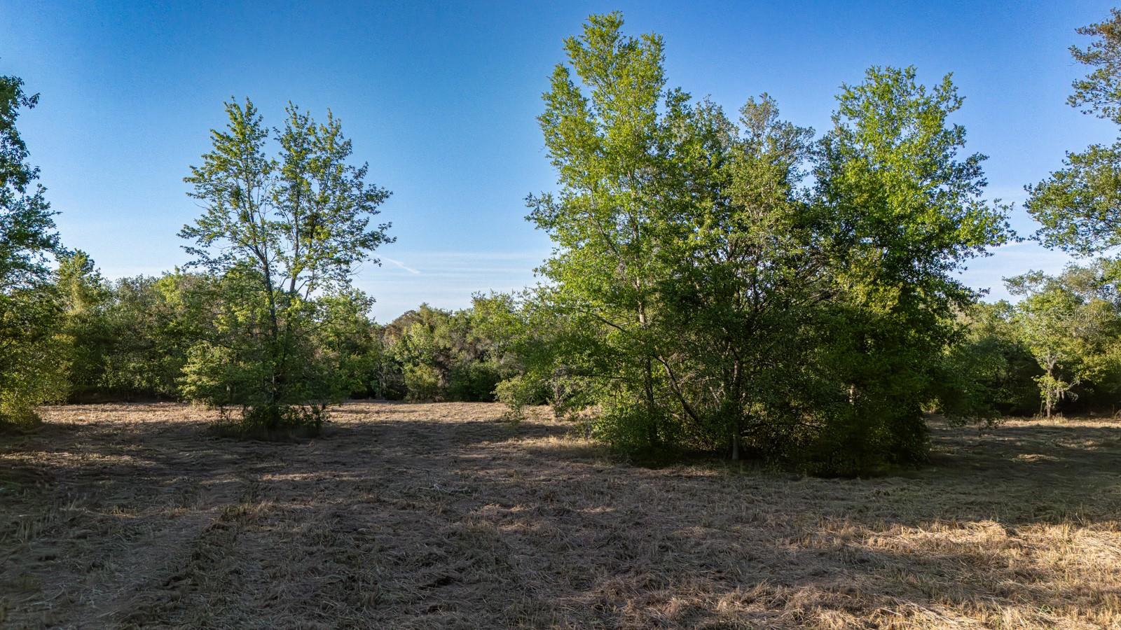 FRIENDSHIP RD, CLERMONT, FL, 34711