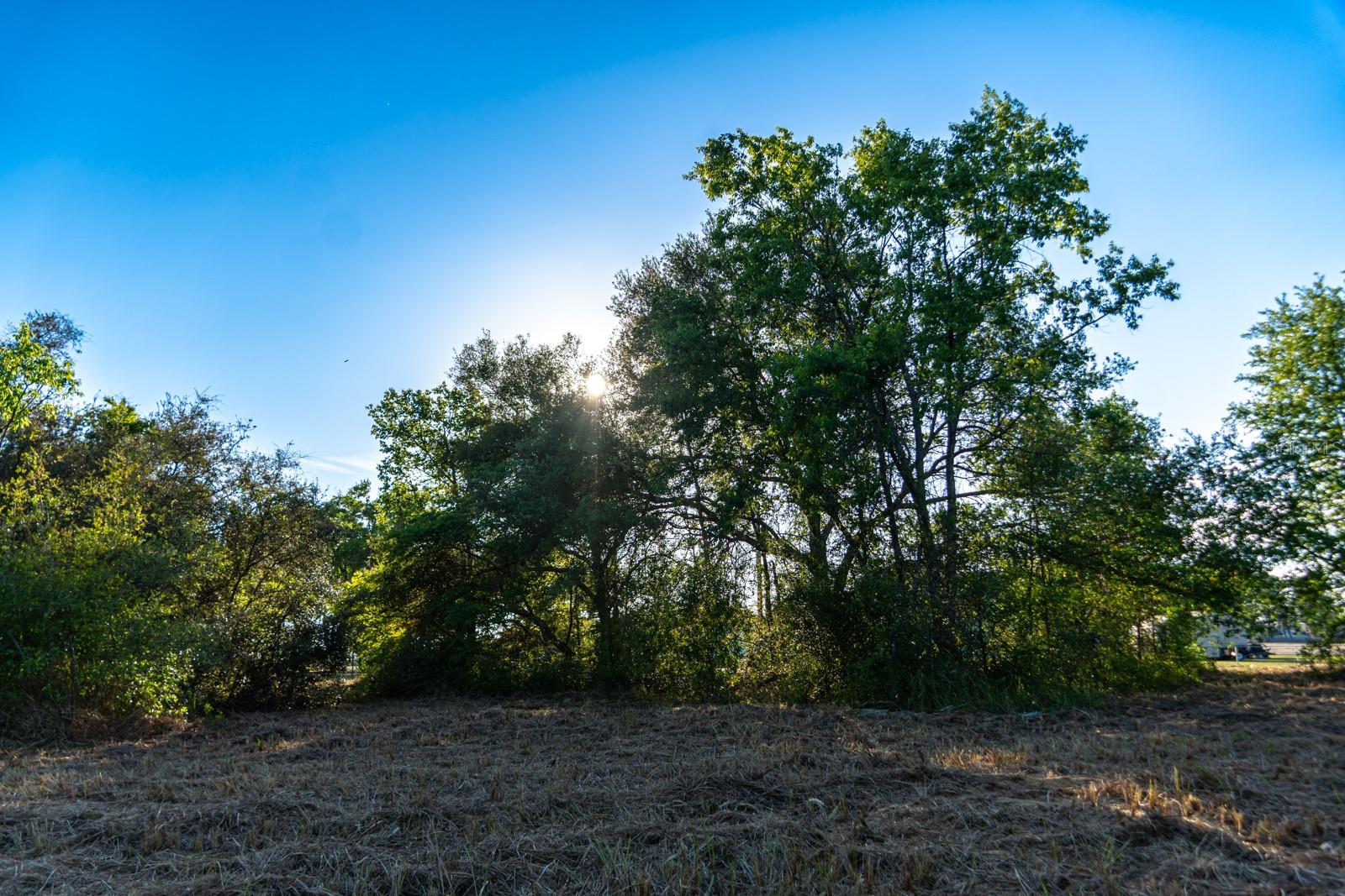 FRIENDSHIP RD, CLERMONT, FL, 34711