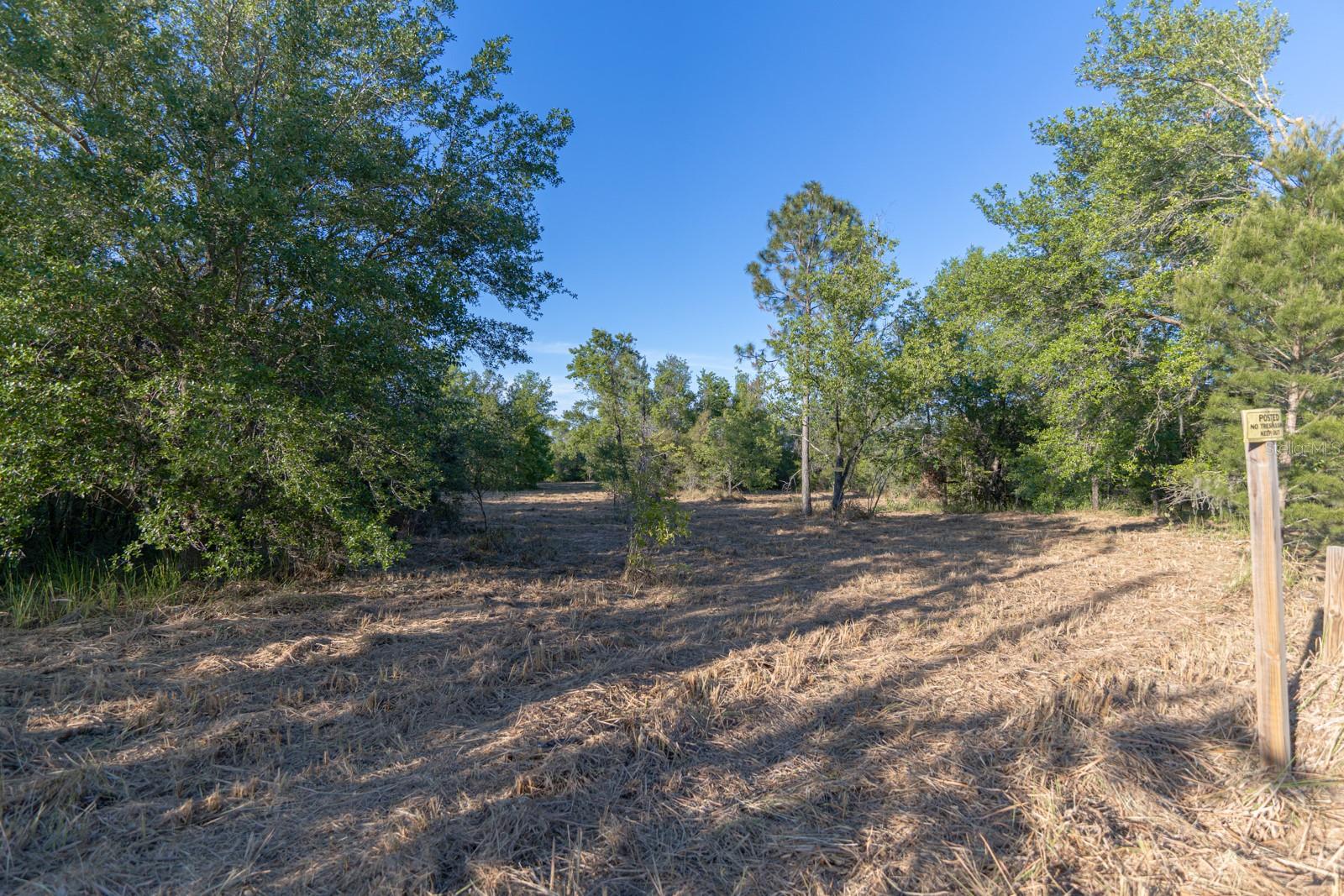 FRIENDSHIP RD, CLERMONT, FL, 34711