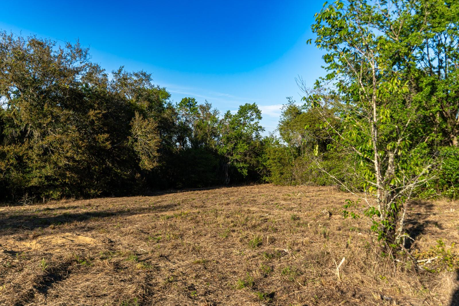 FRIENDSHIP RD, CLERMONT, FL, 34711