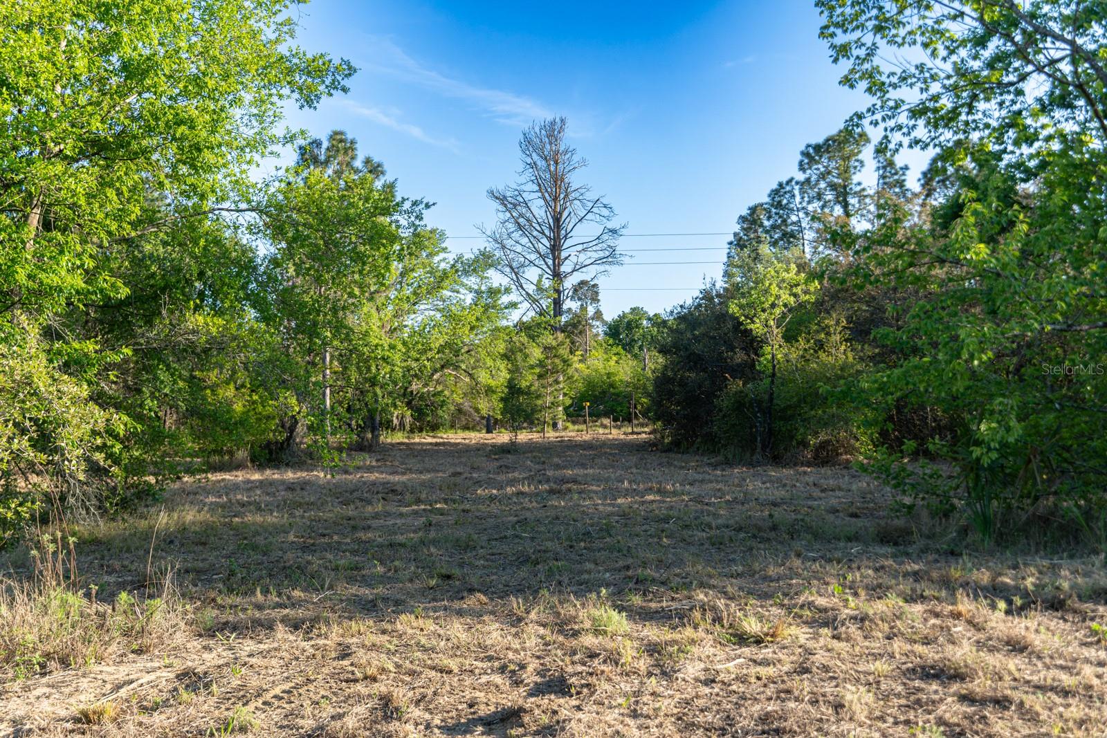FRIENDSHIP RD, CLERMONT, FL, 34711
