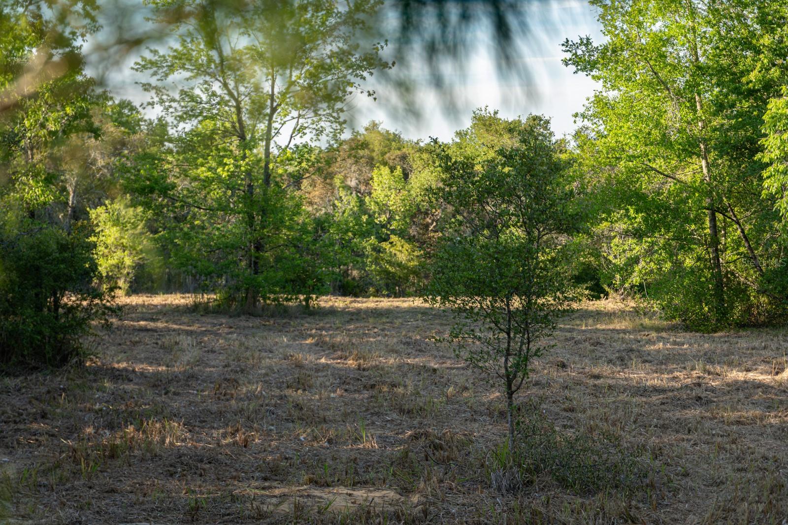 FRIENDSHIP RD, CLERMONT, FL, 34711