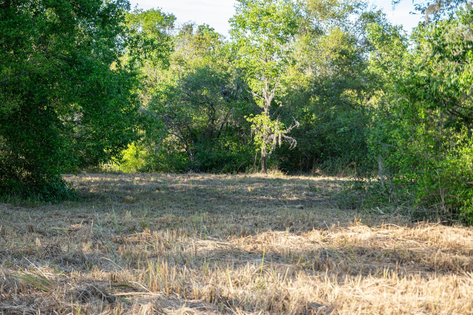 FRIENDSHIP RD, CLERMONT, FL, 34711
