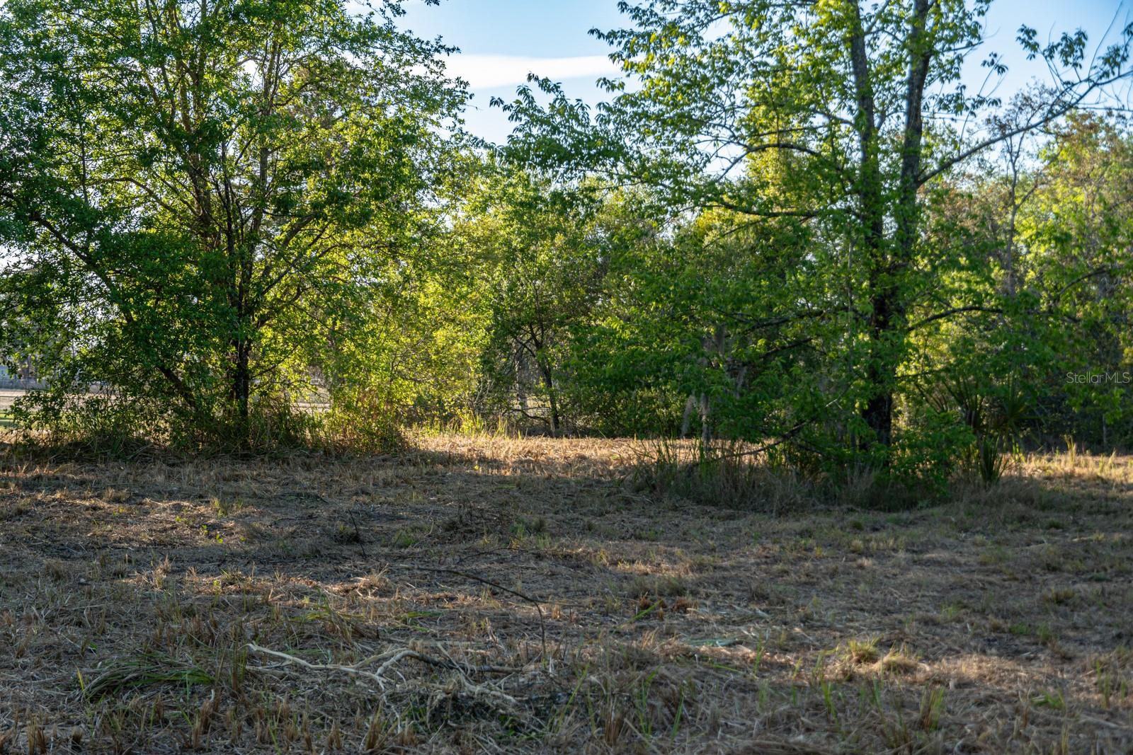 FRIENDSHIP RD, CLERMONT, FL, 34711