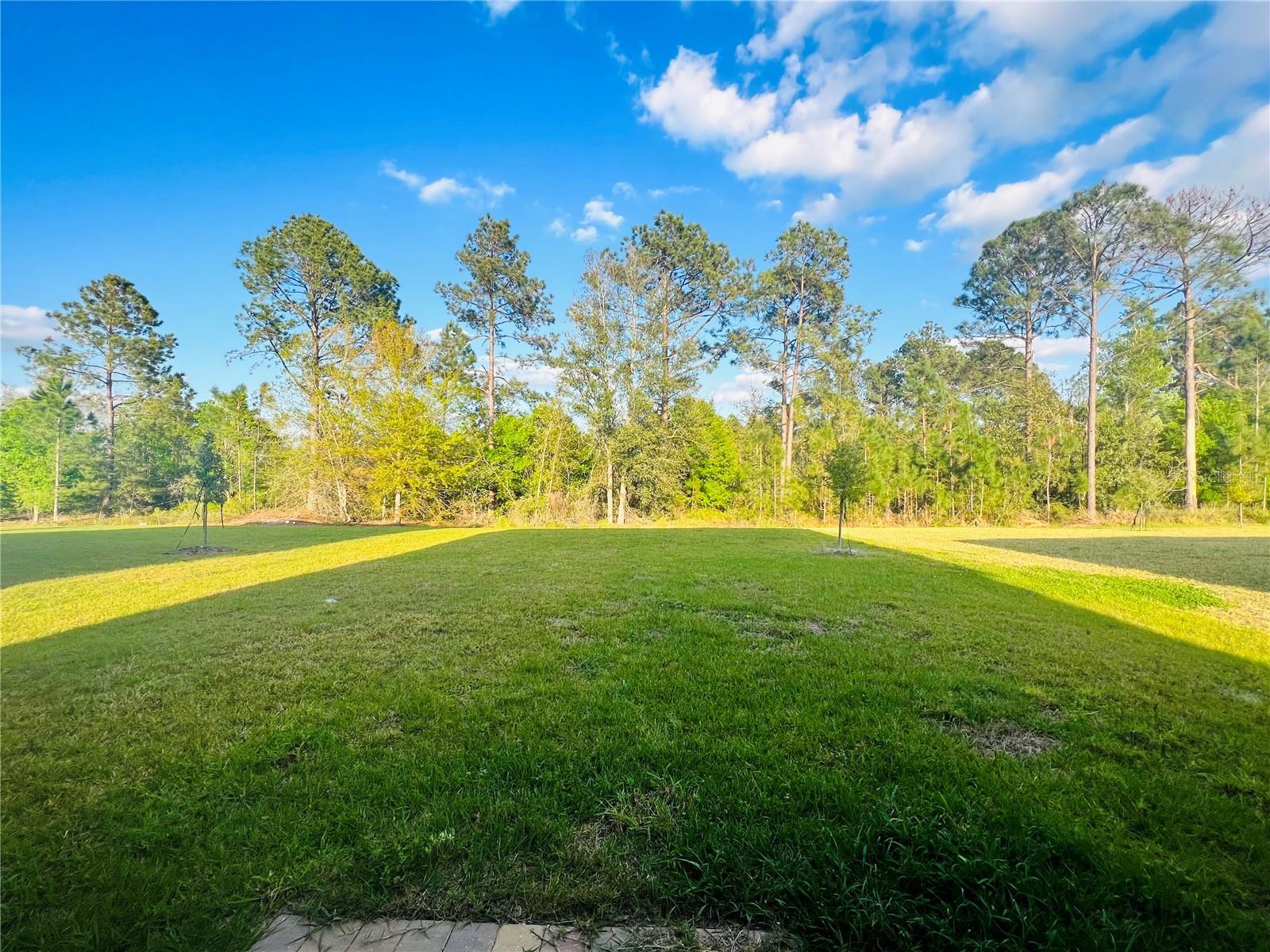 17237 CAGAN CROSSINGS BLVD, CLERMONT, FL, 34714
