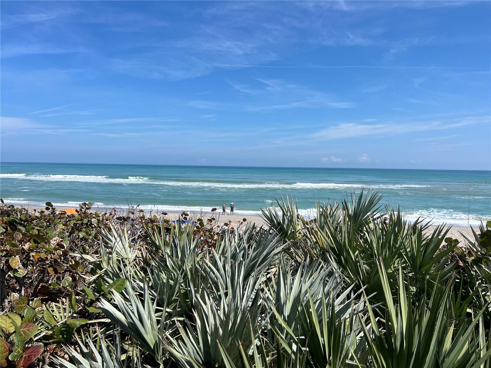 794 HORIZON LN, MELBOURNE BEACH, FL, 32951