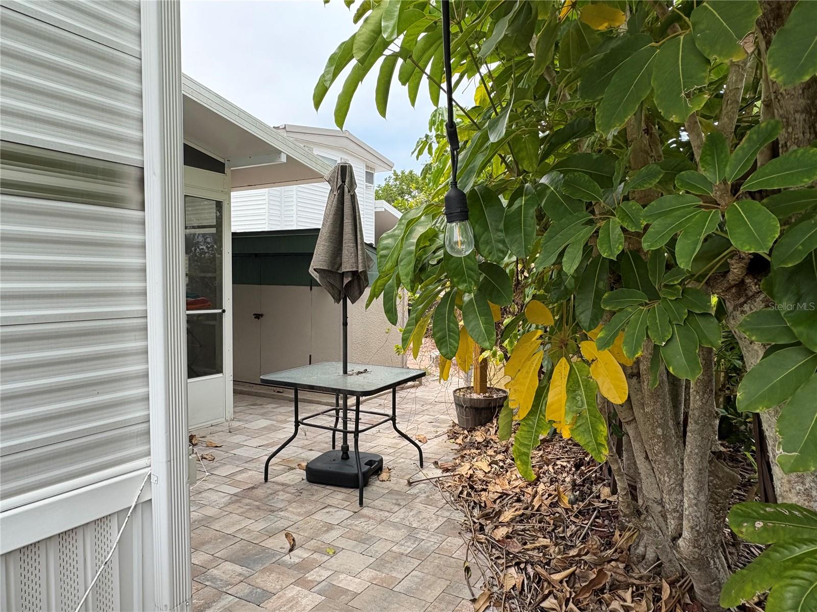 794 HORIZON LN, MELBOURNE BEACH, FL, 32951