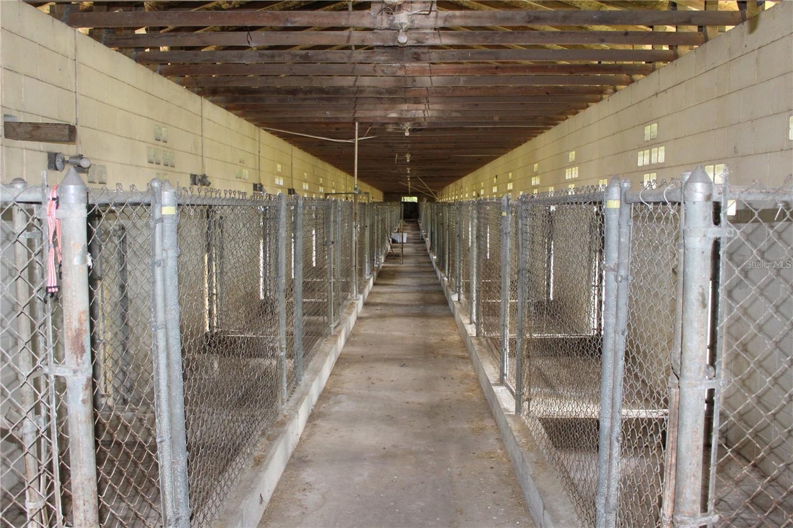 1121 NE 135TH PL, CITRA, FL, 32113