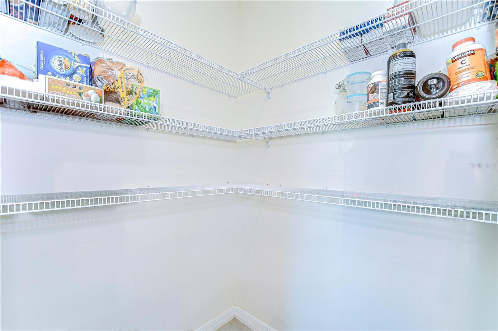 8562 HARDY BAY LOOP, WESLEY CHAPEL, FL, 33545