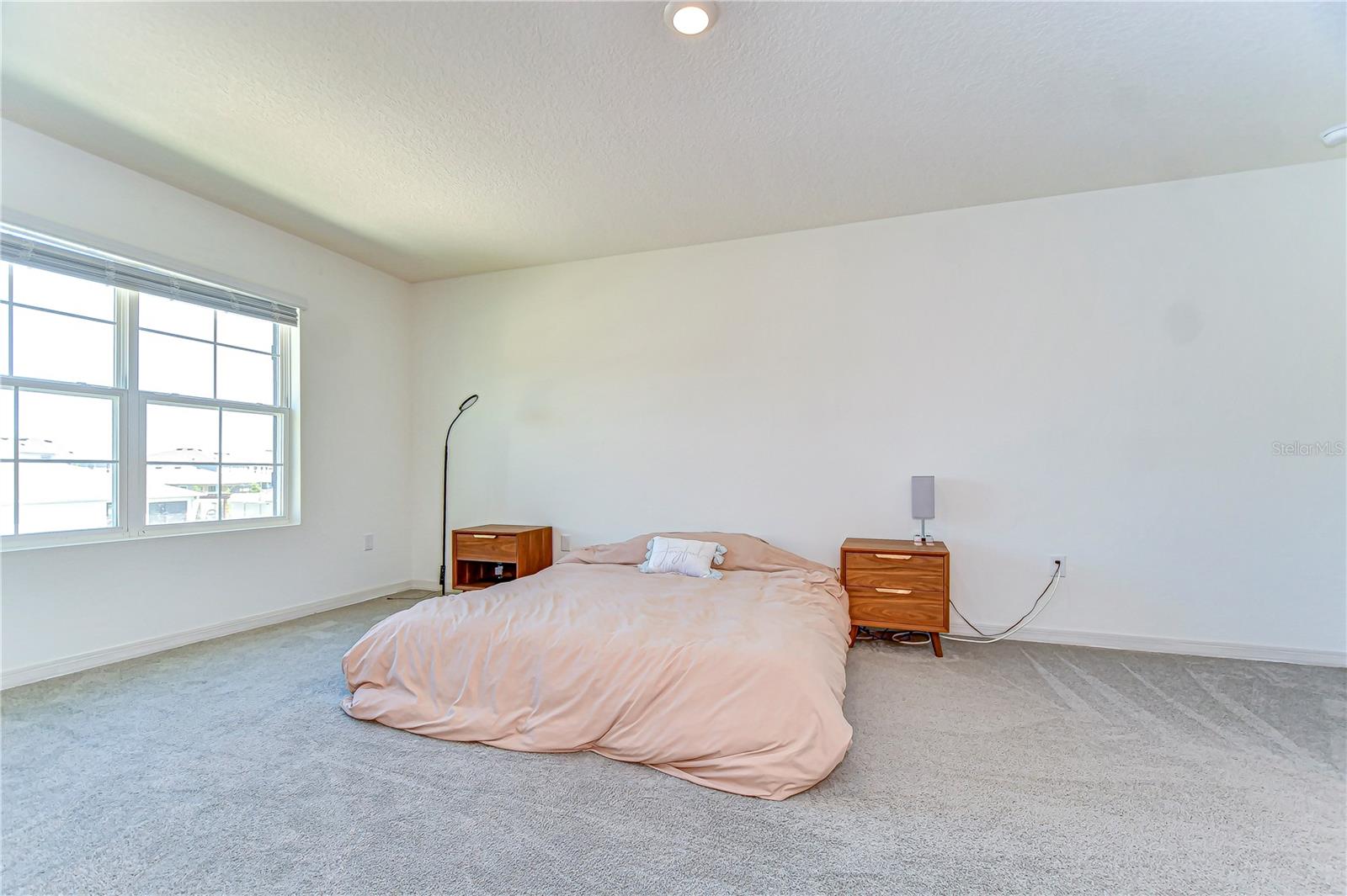 8562 HARDY BAY LOOP, WESLEY CHAPEL, FL, 33545