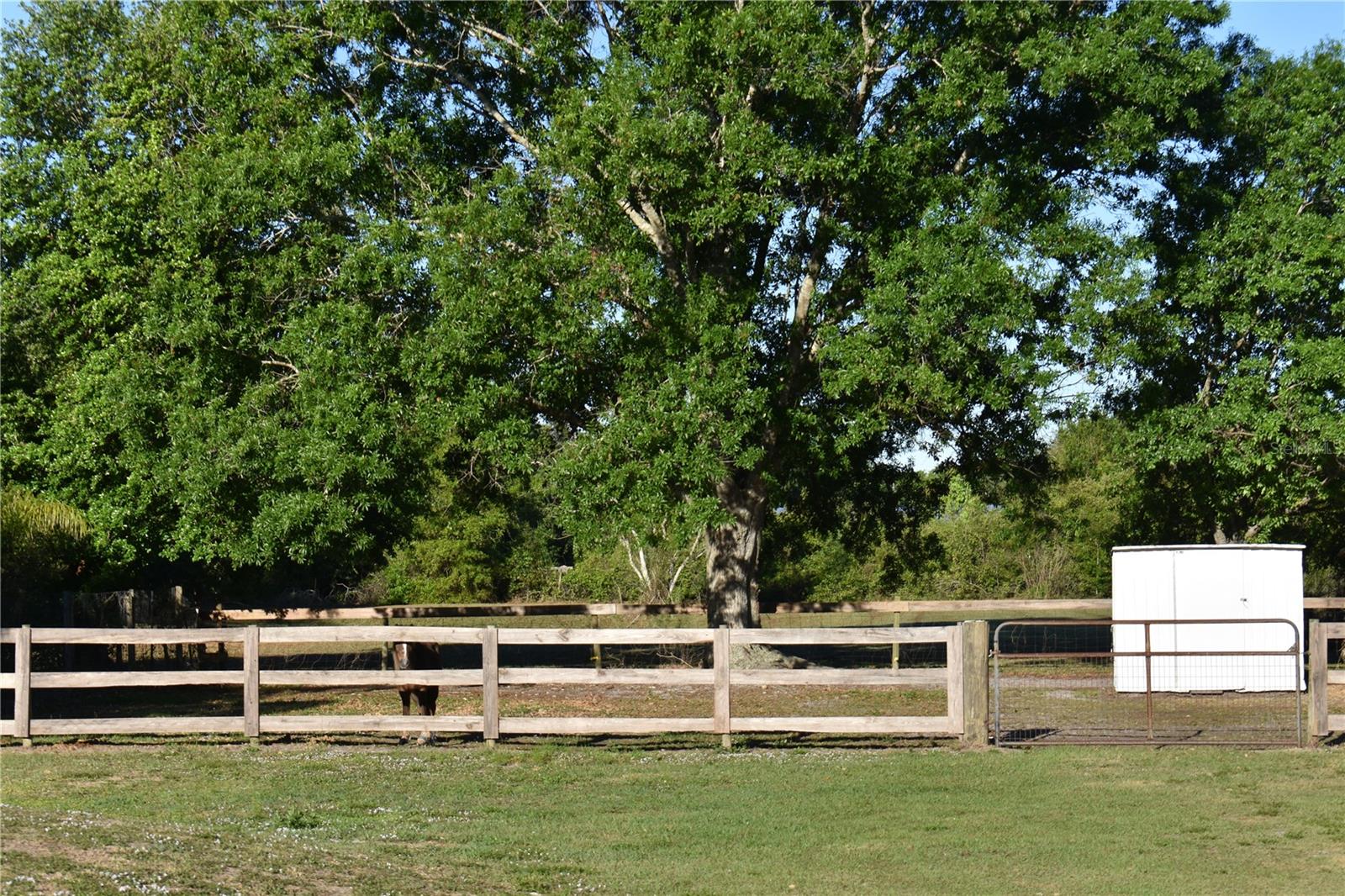 2461 NW GARVIN AVE, ARCADIA, FL, 34266