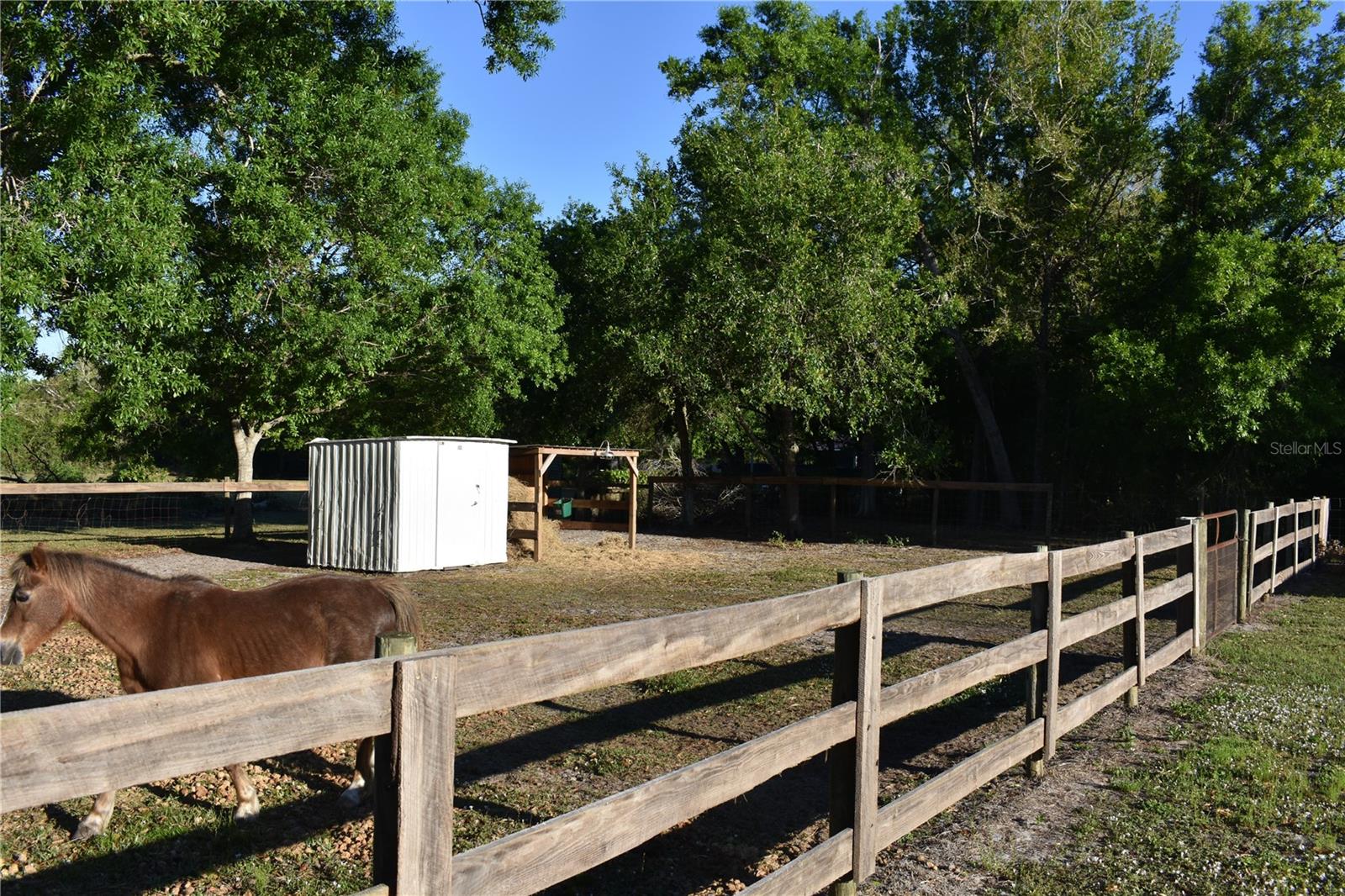 2461 NW GARVIN AVE, ARCADIA, FL, 34266