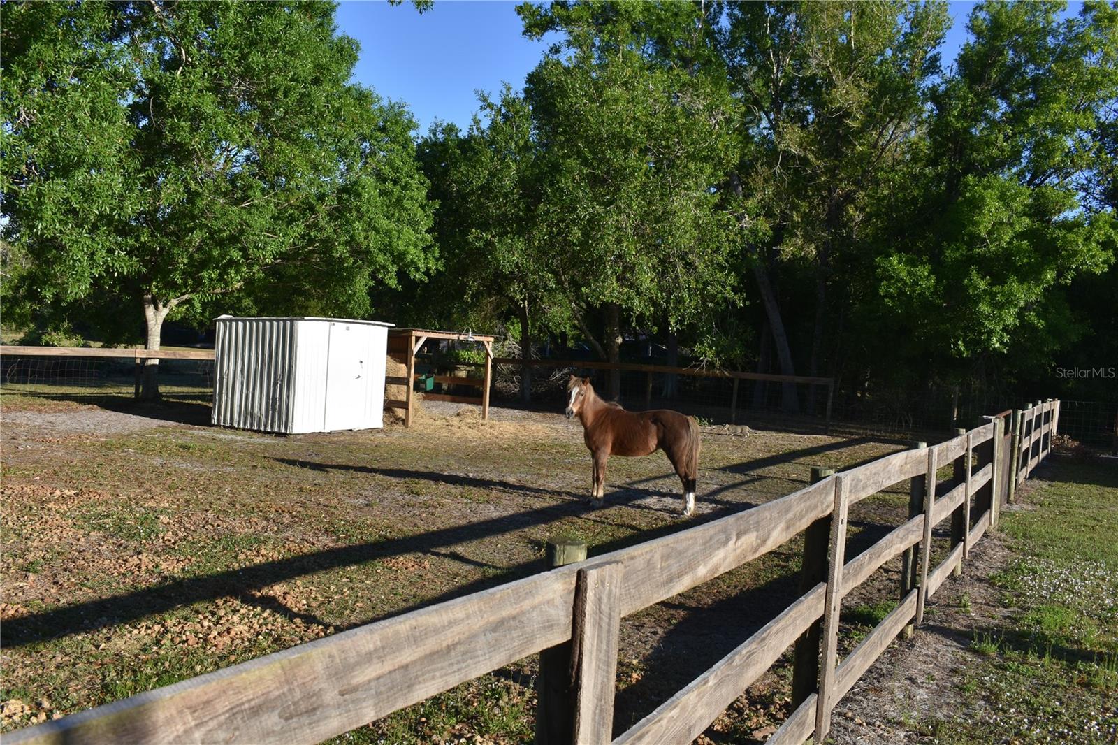 2461 NW GARVIN AVE, ARCADIA, FL, 34266