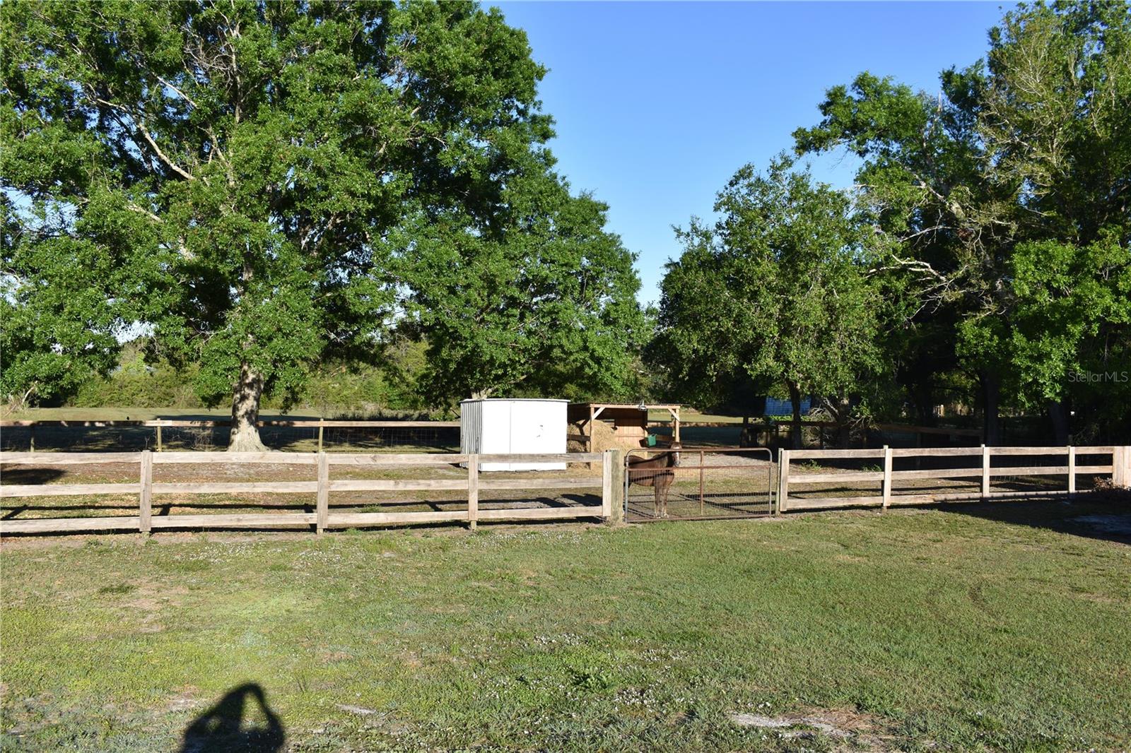 2461 NW GARVIN AVE, ARCADIA, FL, 34266