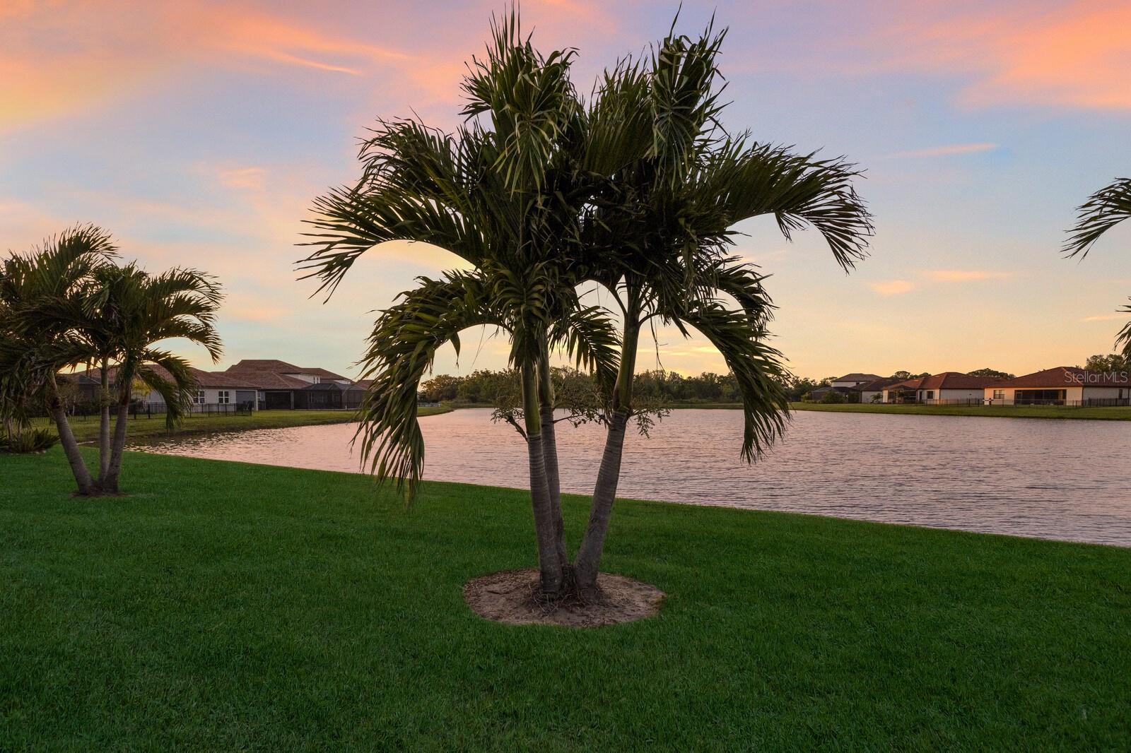 3814 SCRUB CREEK RUN, LAKEWOOD RANCH, FL, 34211