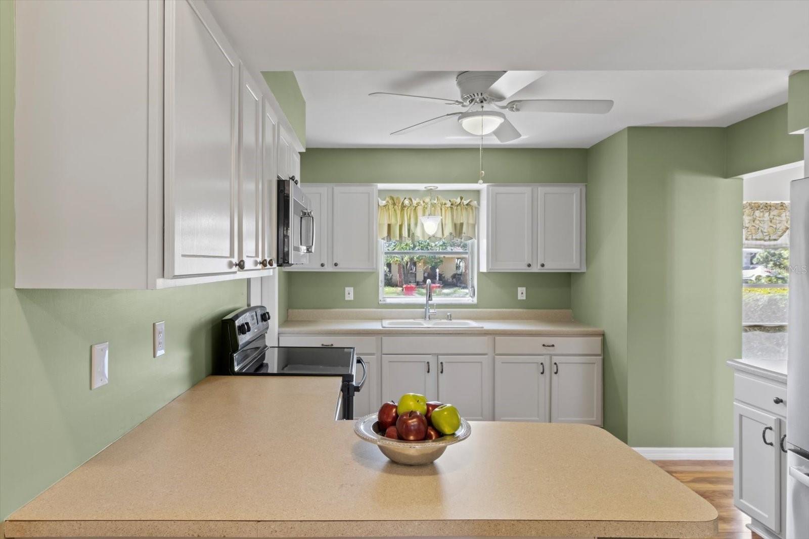9201 N LENNOX TER, CITRUS SPRINGS, FL, 34434