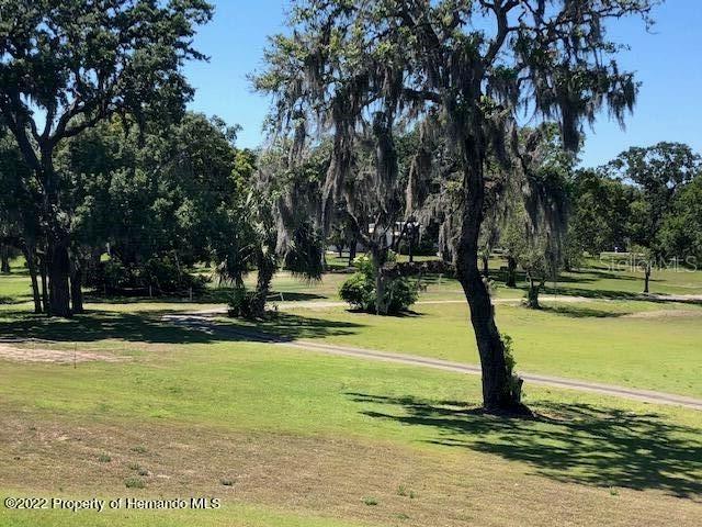 8063 EASTERN CIRCLE DR, BROOKSVILLE, FL, 34613