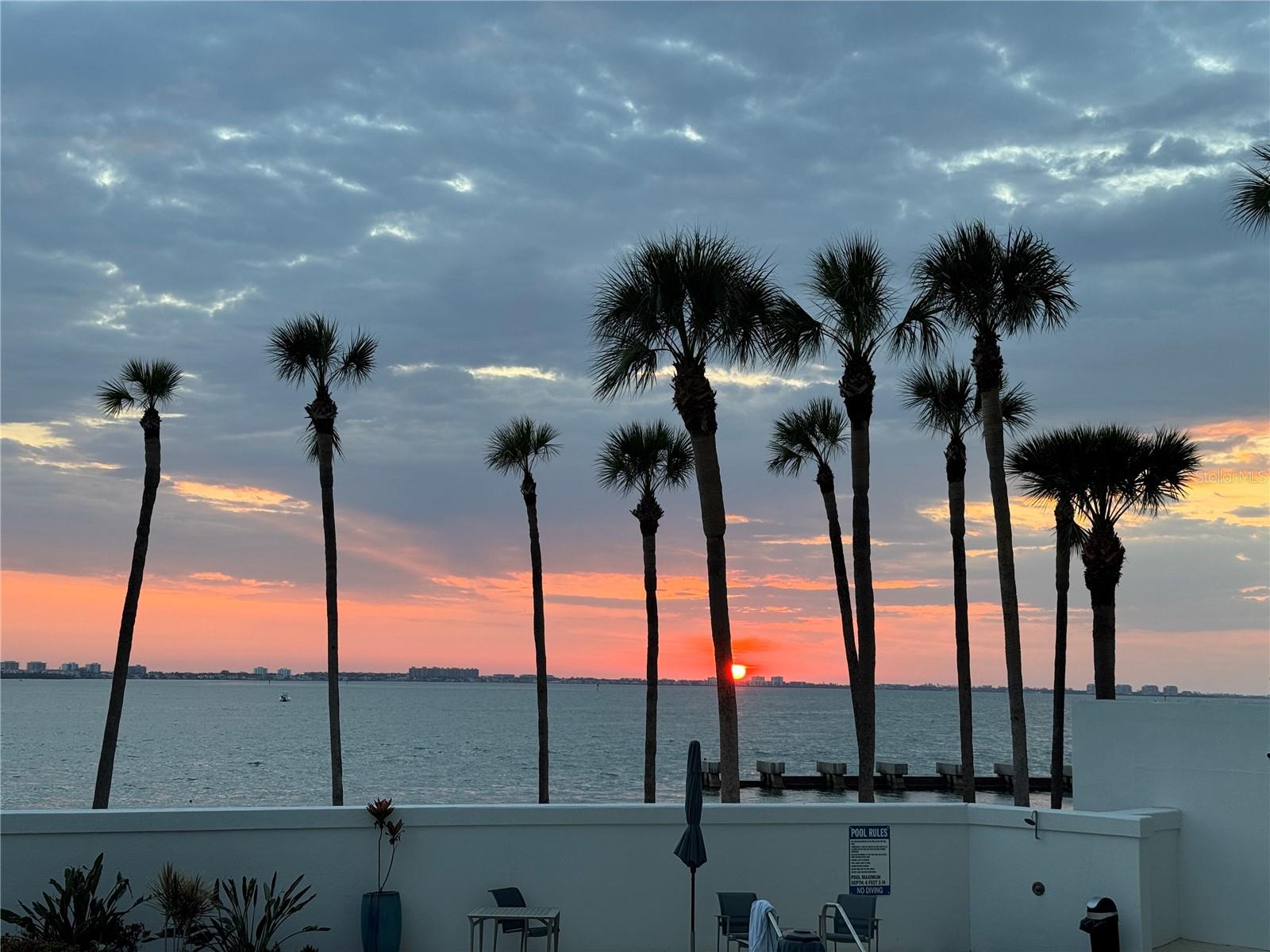988 BLVD OF THE ARTS #109, SARASOTA, FL, 34236