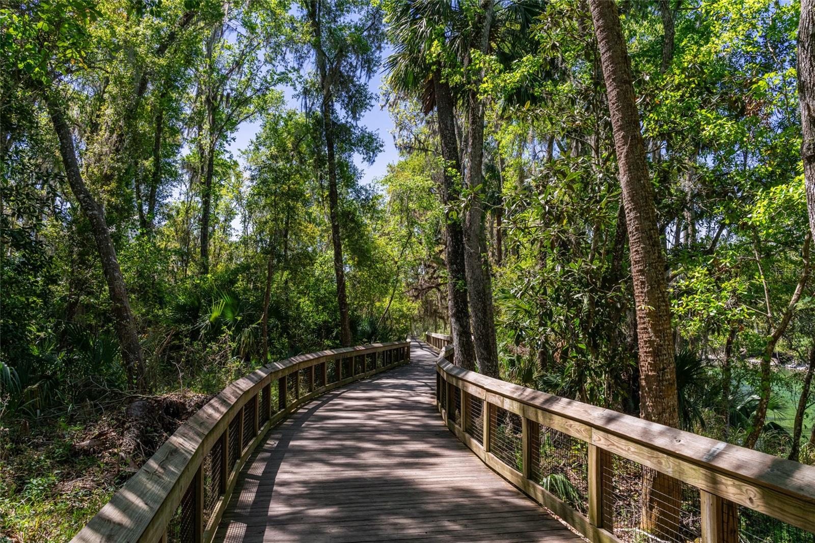 515 COLUMBUS AVE, ORANGE CITY, FL, 32763