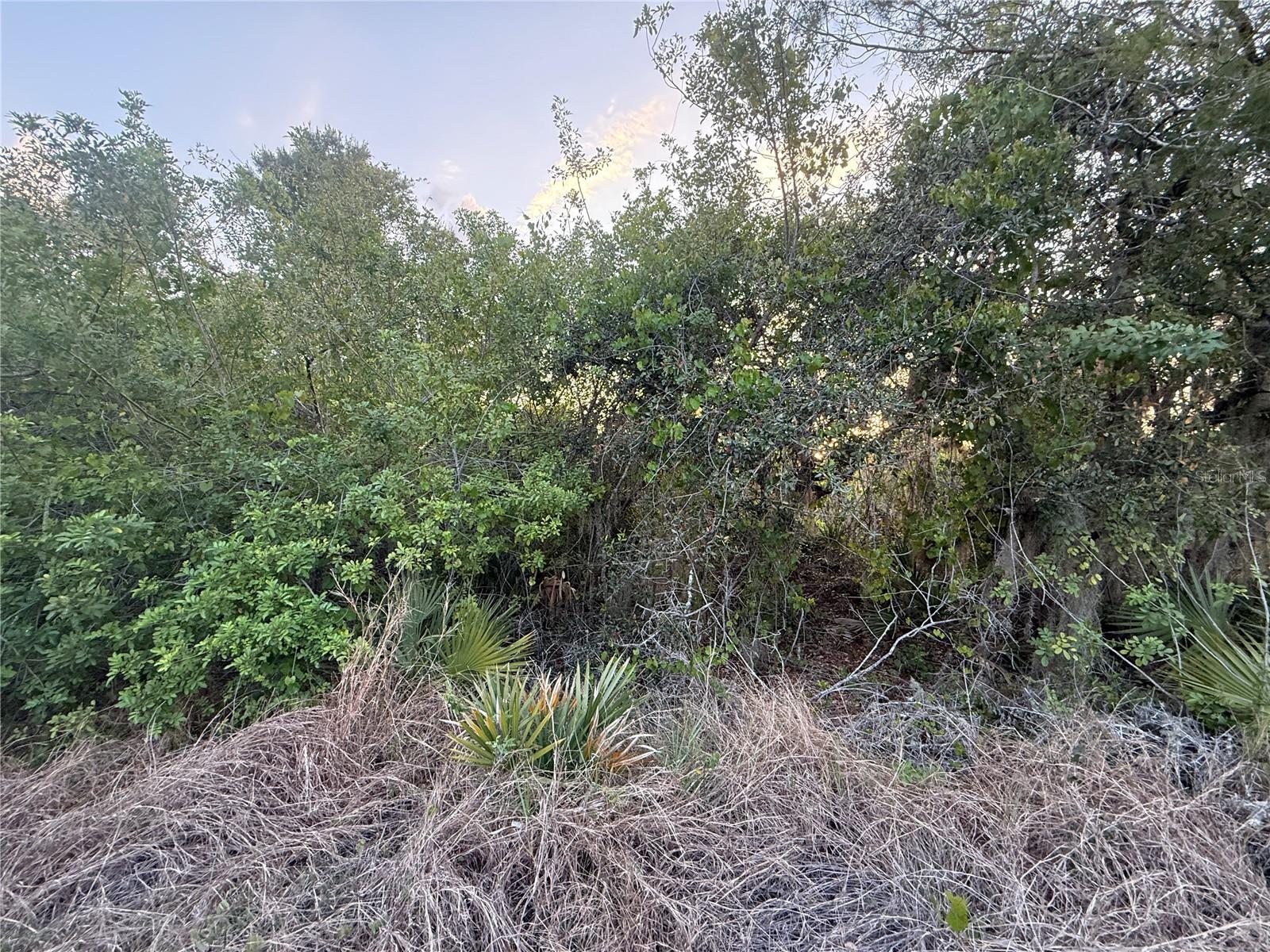 146 PATTON AVE, LAKE PLACID, FL, 33852