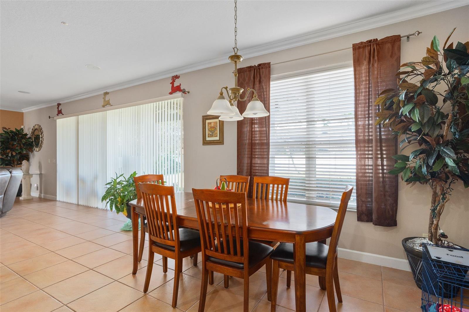 920 NOLA DR, OCOEE, FL, 34761