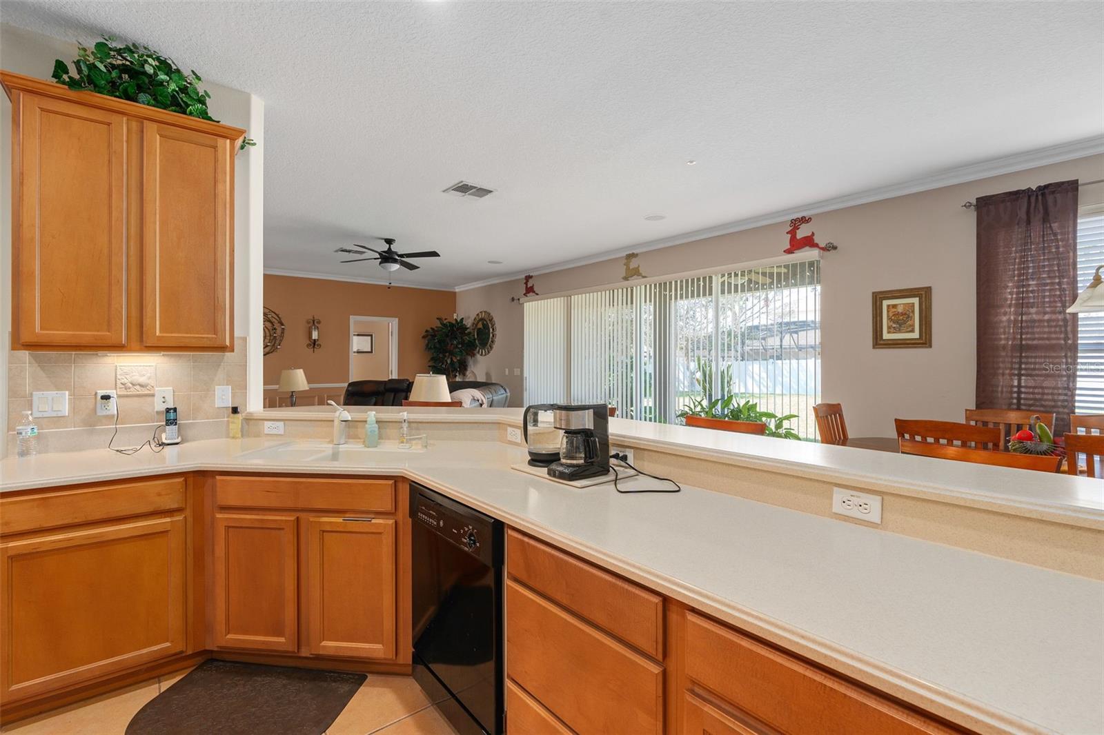 920 NOLA DR, OCOEE, FL, 34761