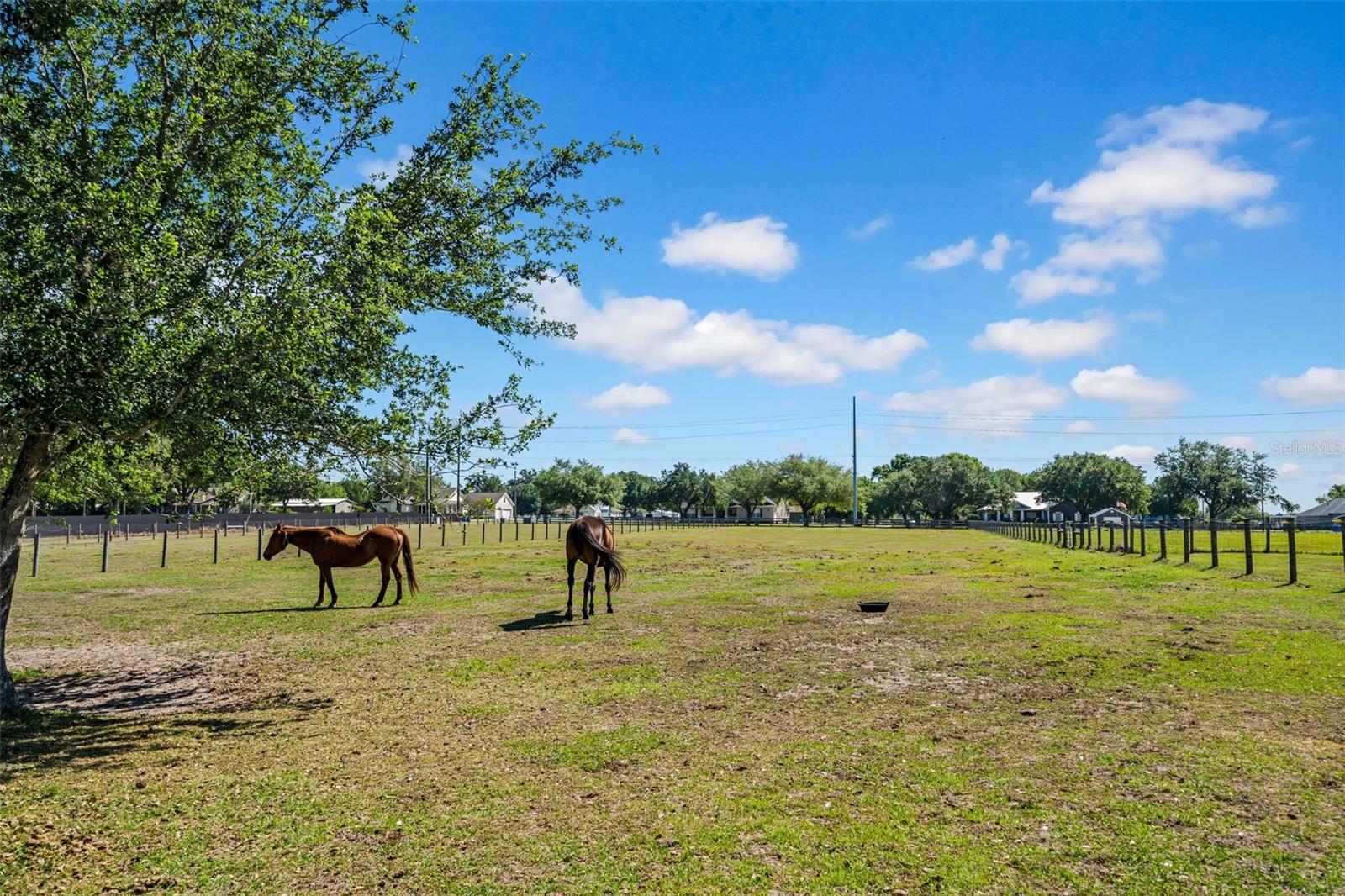 4615 KEENE RD, PLANT CITY, FL, 33565