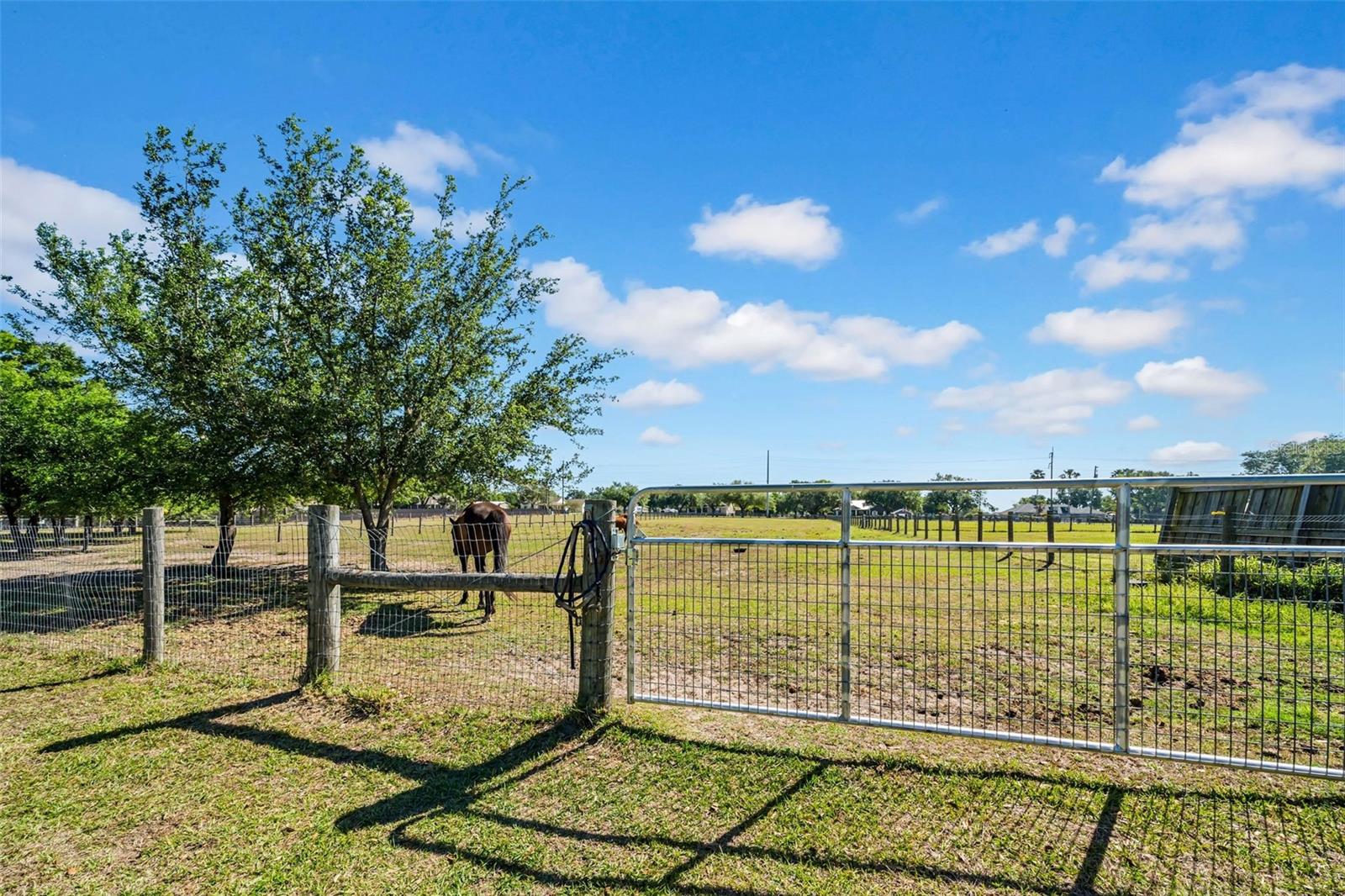 4615 KEENE RD, PLANT CITY, FL, 33565