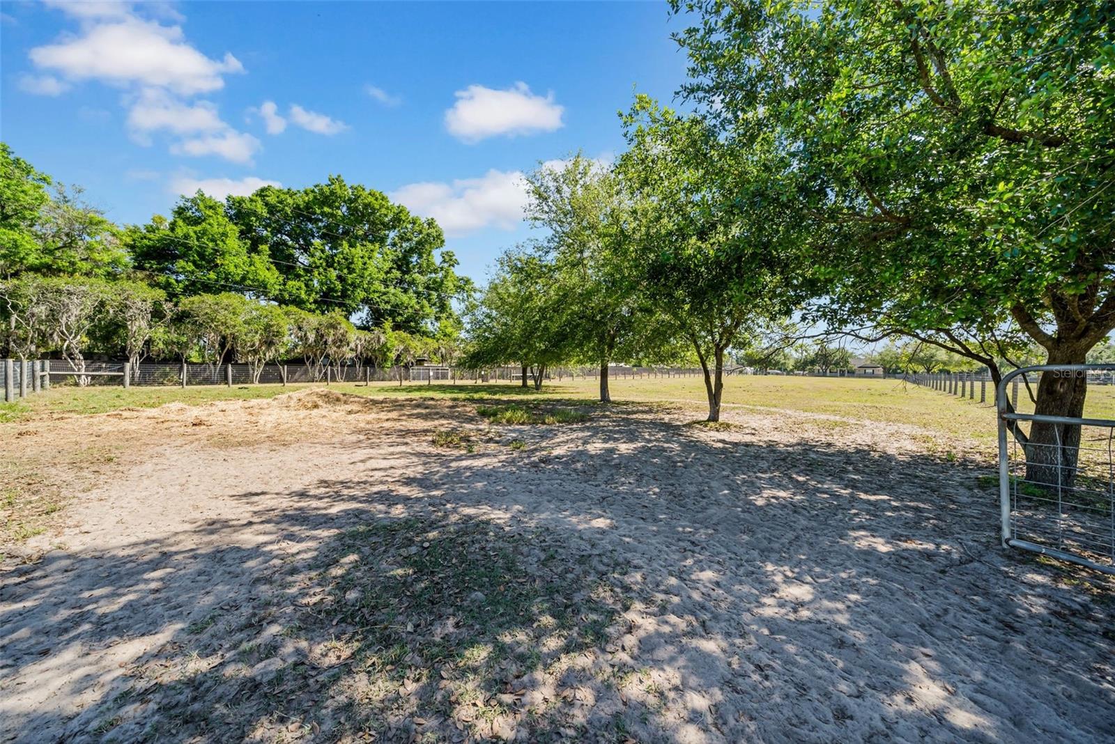 4615 KEENE RD, PLANT CITY, FL, 33565