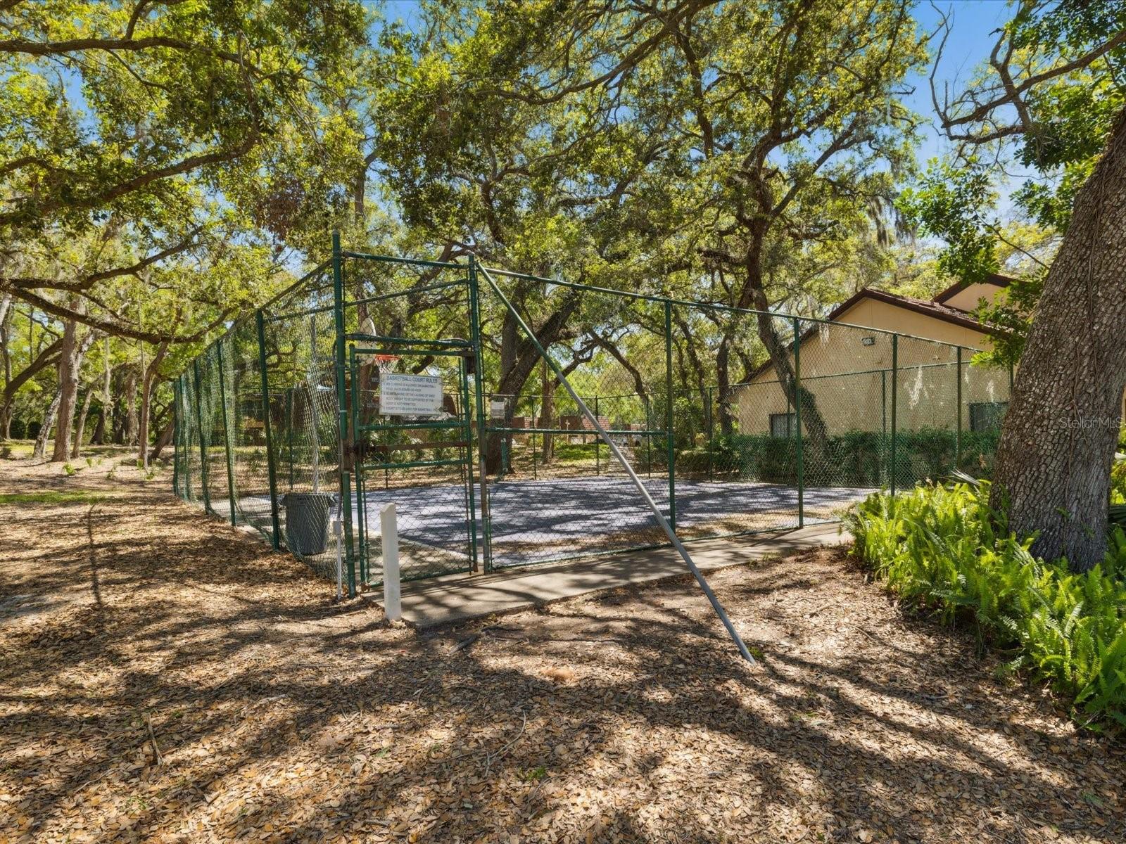 2644 2ND CT, PALM HARBOR, FL, 34684