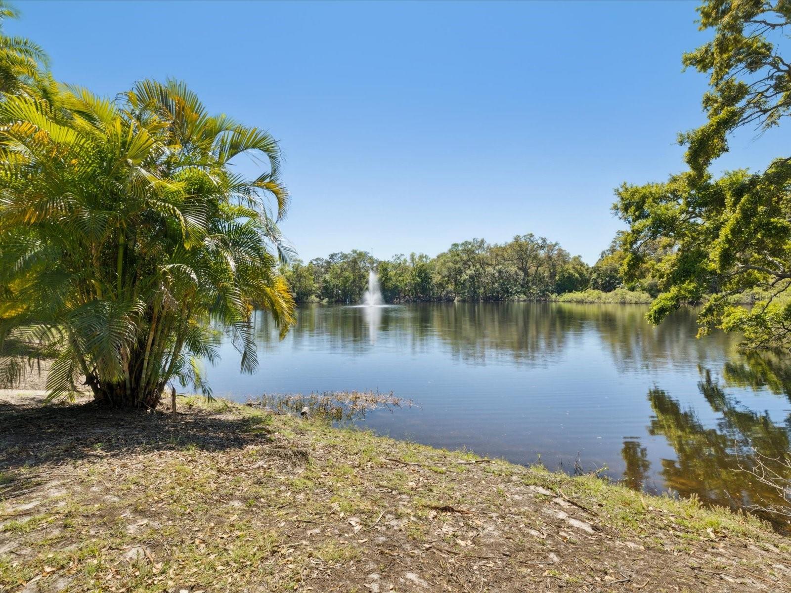 2644 2ND CT, PALM HARBOR, FL, 34684