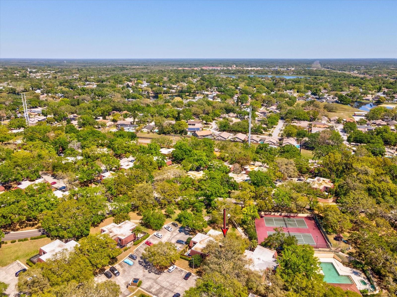 2644 2ND CT, PALM HARBOR, FL, 34684