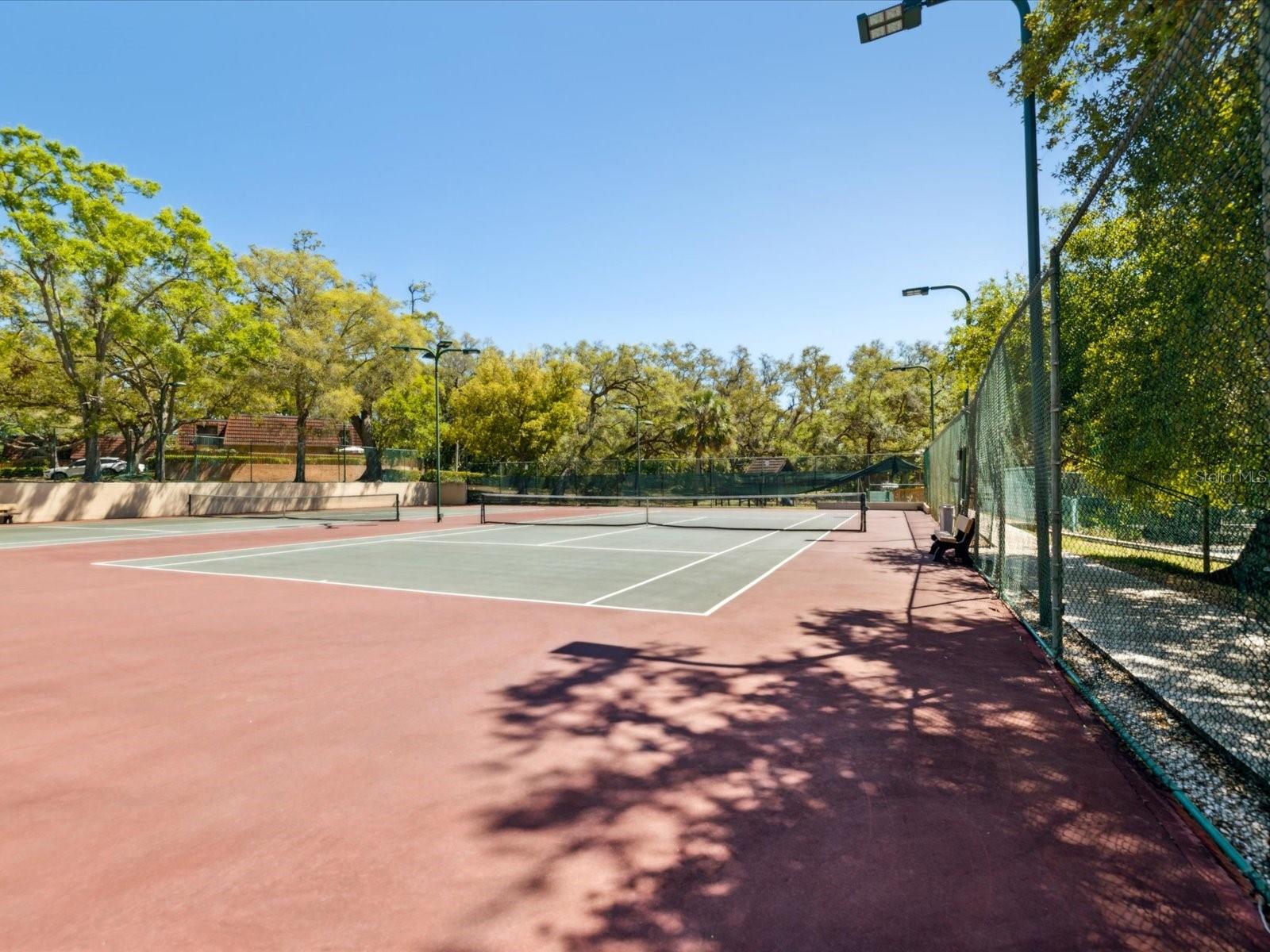 2644 2ND CT, PALM HARBOR, FL, 34684