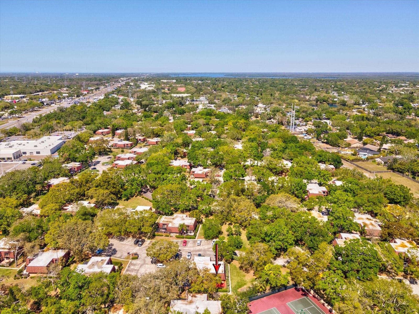 2644 2ND CT, PALM HARBOR, FL, 34684