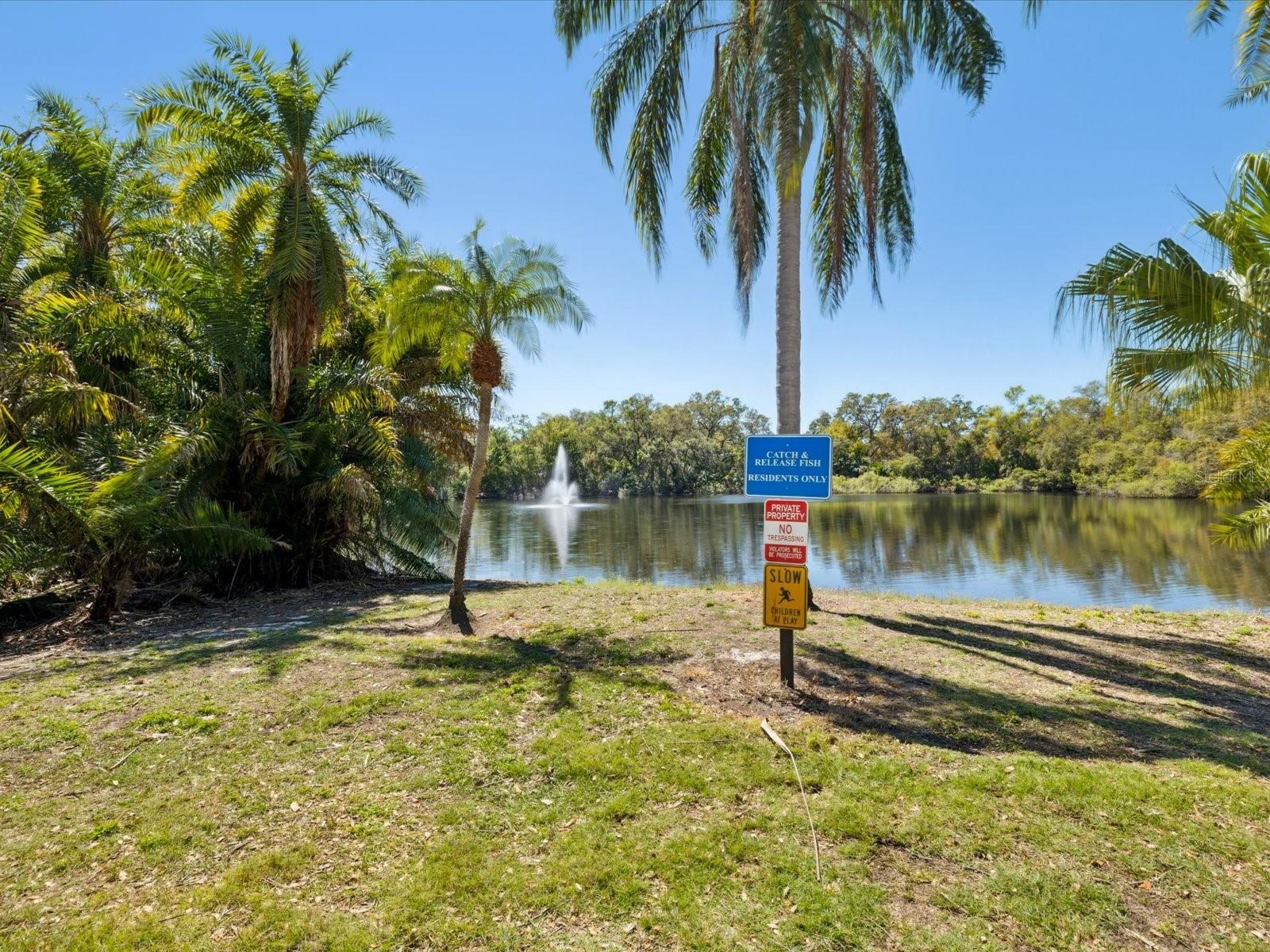 2644 2ND CT, PALM HARBOR, FL, 34684