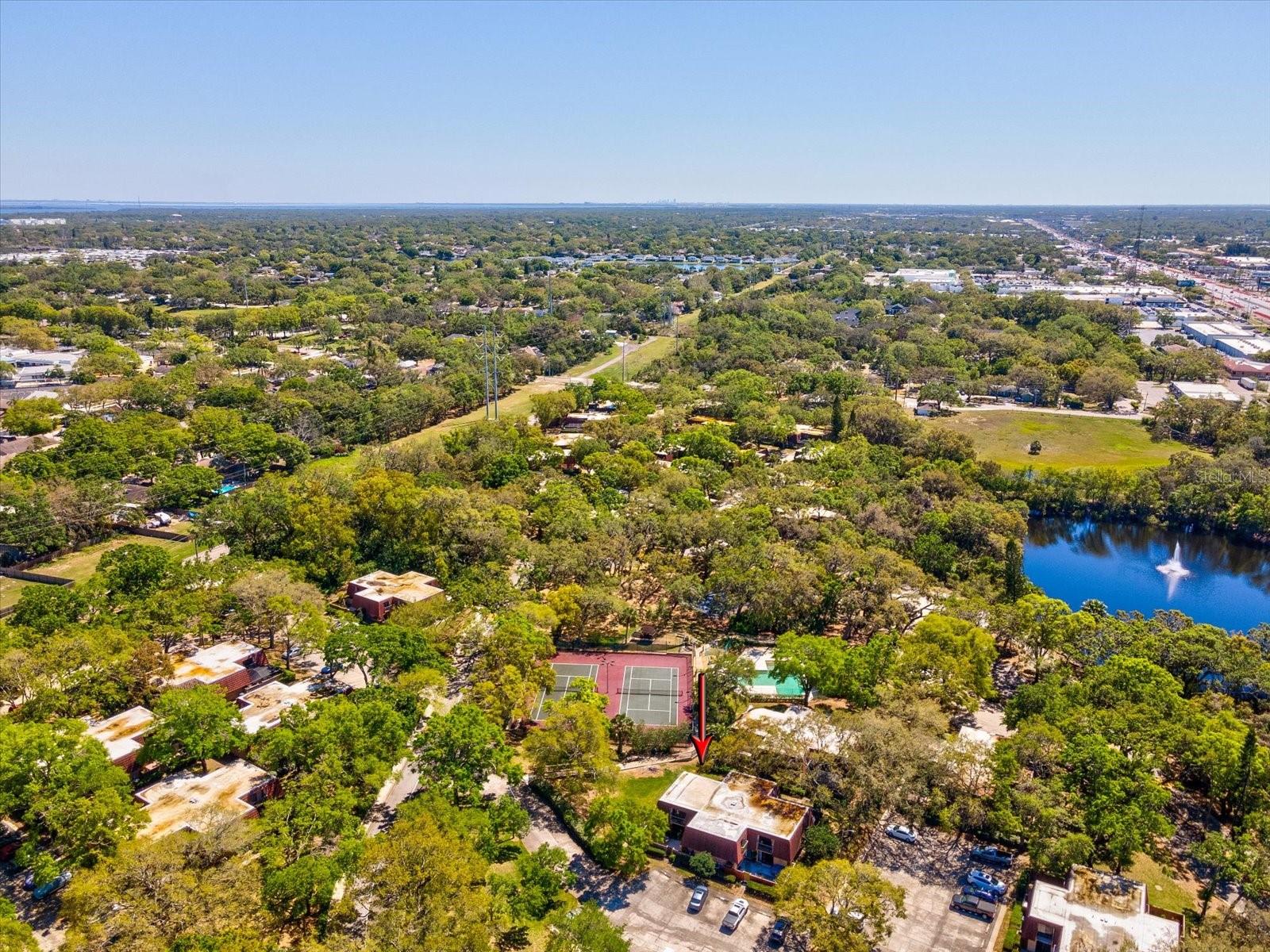 2644 2ND CT, PALM HARBOR, FL, 34684
