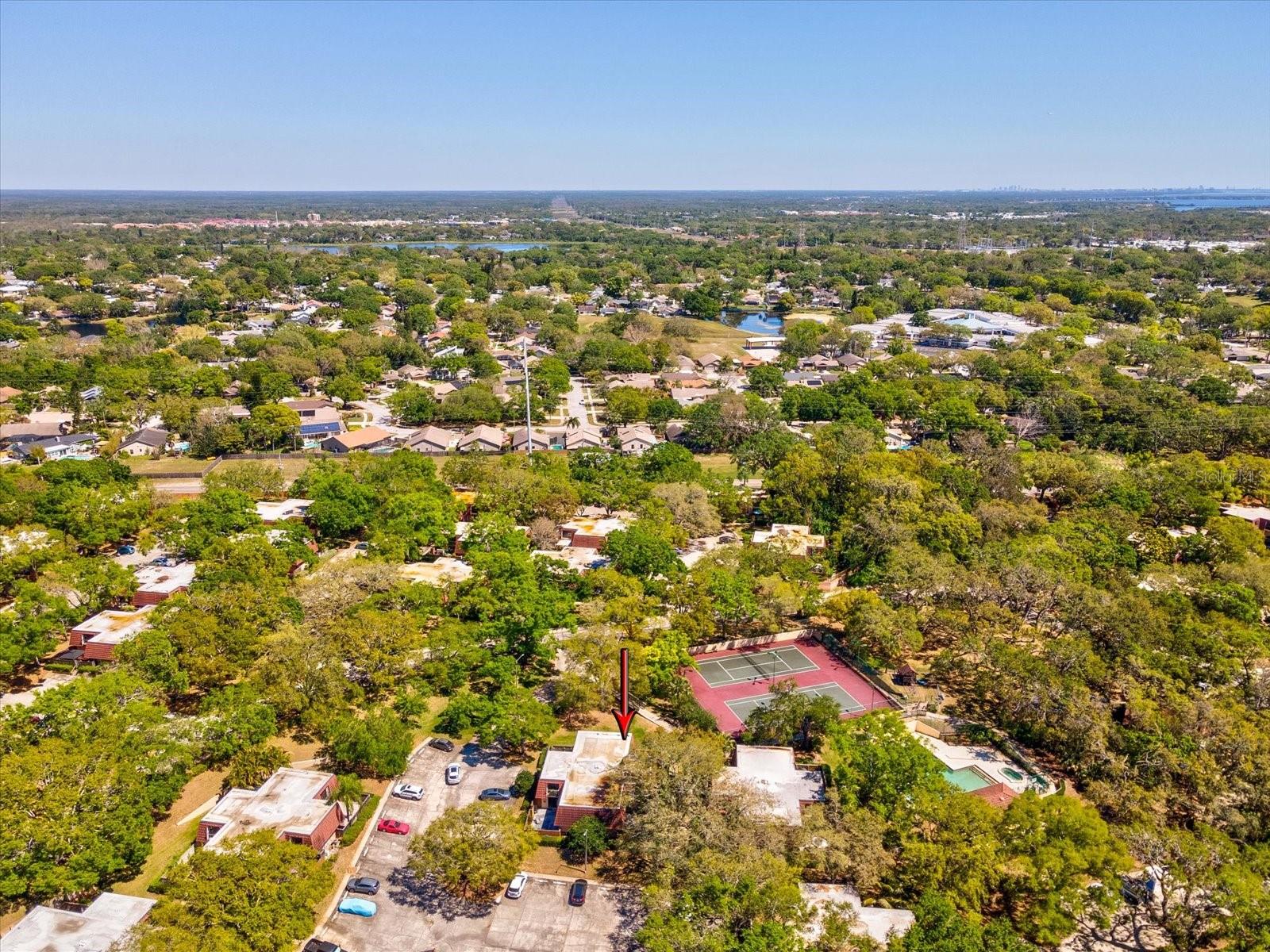 2644 2ND CT, PALM HARBOR, FL, 34684