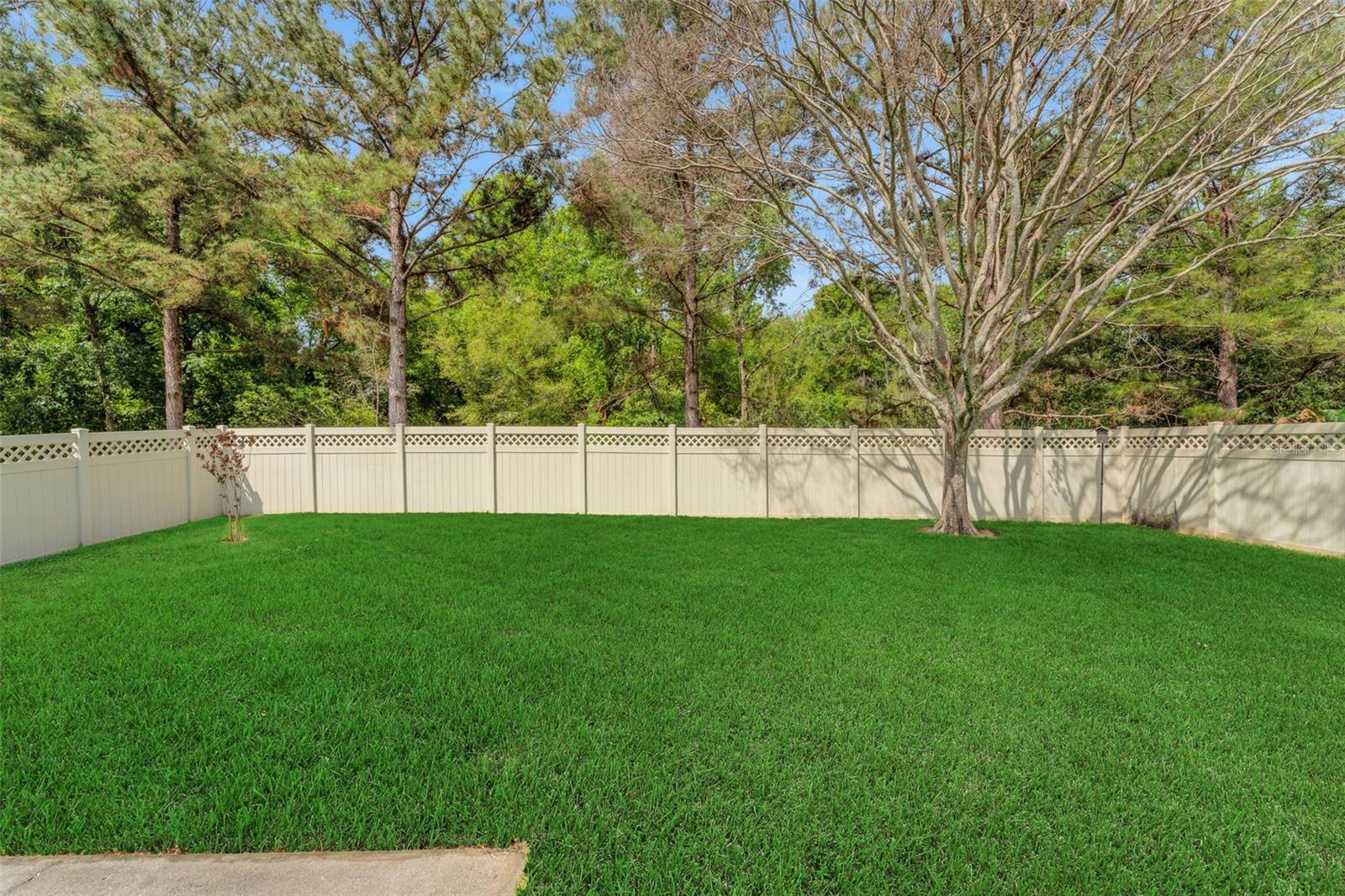 20816 SULLIVAN RANCH BLVD, MOUNT DORA, FL, 32757