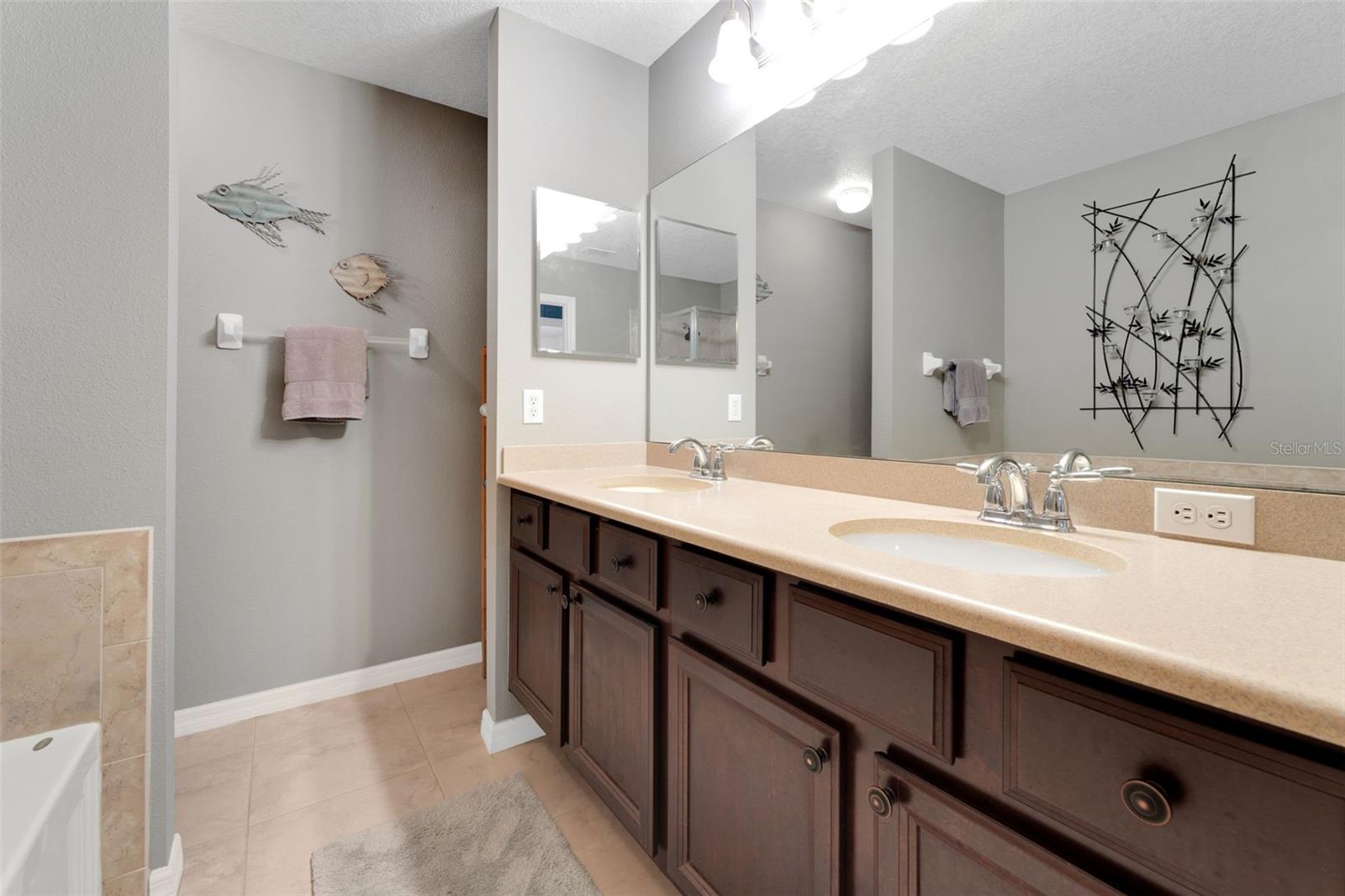 20816 SULLIVAN RANCH BLVD, MOUNT DORA, FL, 32757
