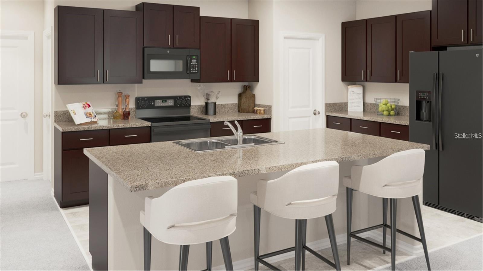 17911 BLISSFUL STARS DR, LUTZ, FL, 33558