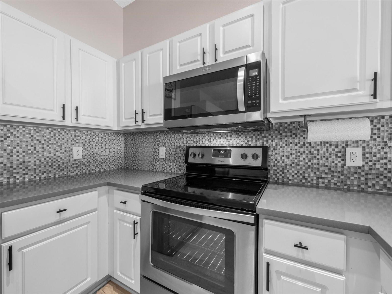 25313 IRONWEDGE DR, MOUNT PLYMOUTH, FL, 32776
