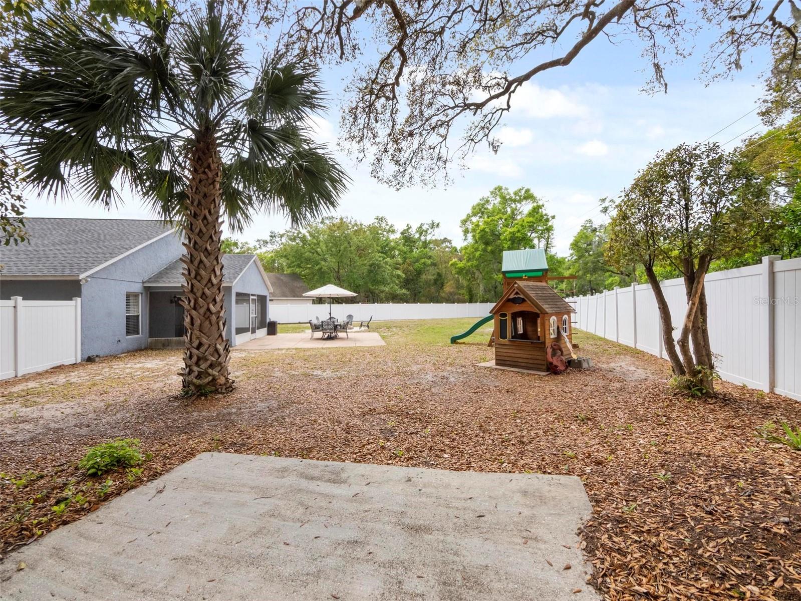 25313 IRONWEDGE DR, MOUNT PLYMOUTH, FL, 32776