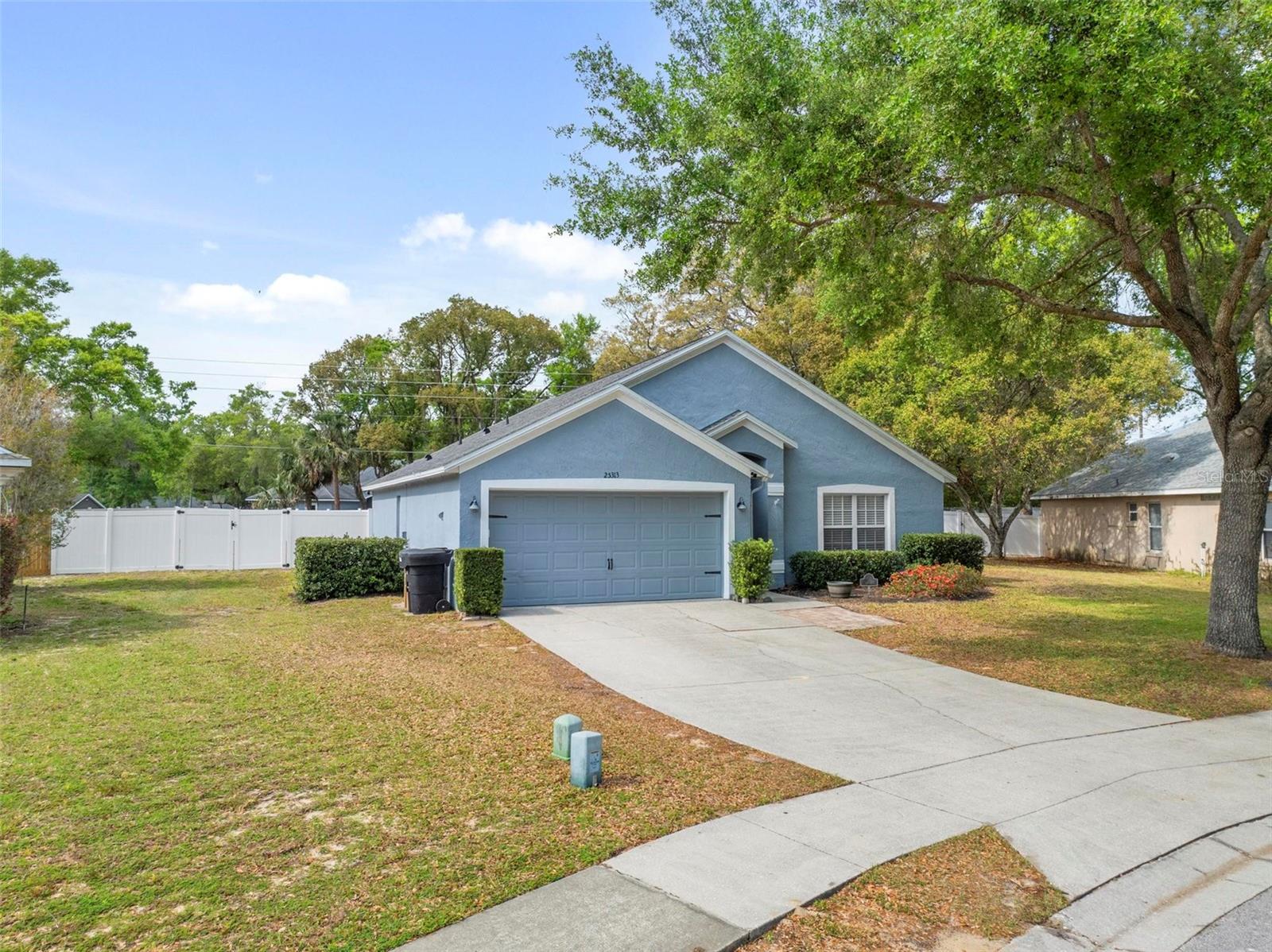 25313 IRONWEDGE DR, MOUNT PLYMOUTH, FL, 32776