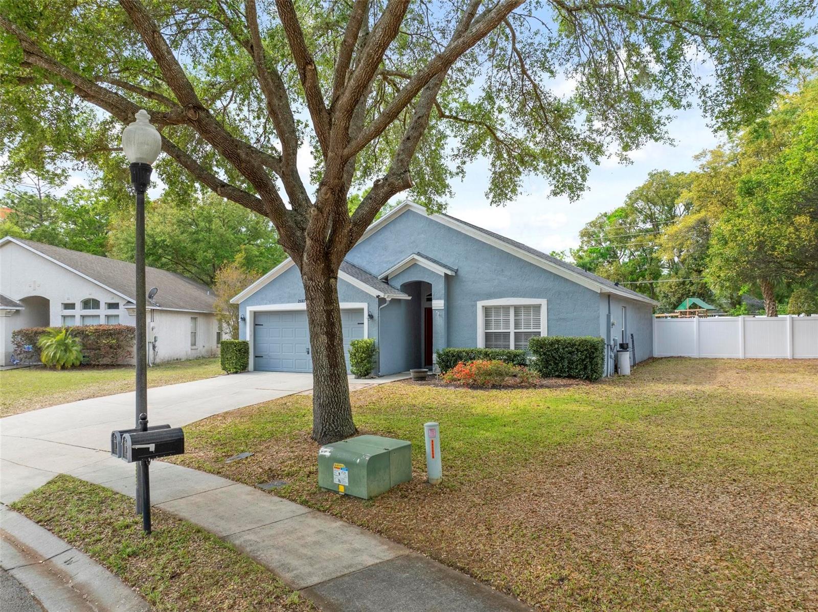 25313 IRONWEDGE DR, MOUNT PLYMOUTH, FL, 32776