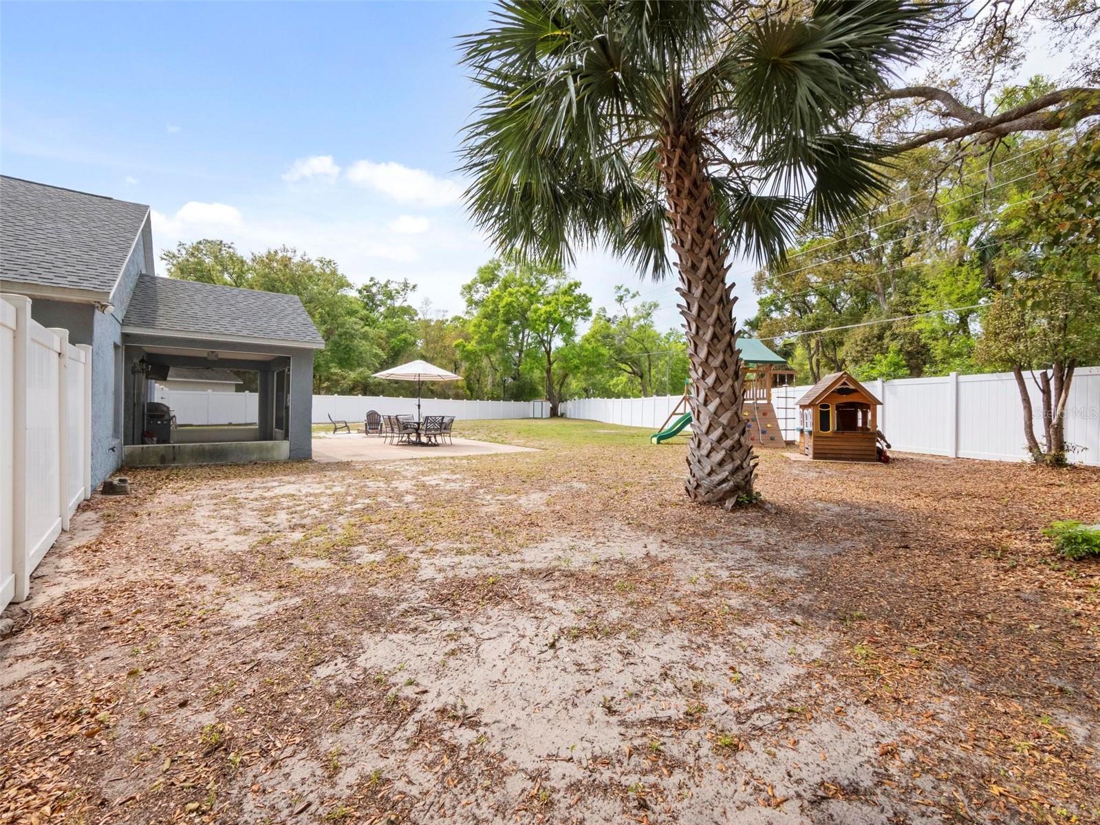 25313 IRONWEDGE DR, MOUNT PLYMOUTH, FL, 32776